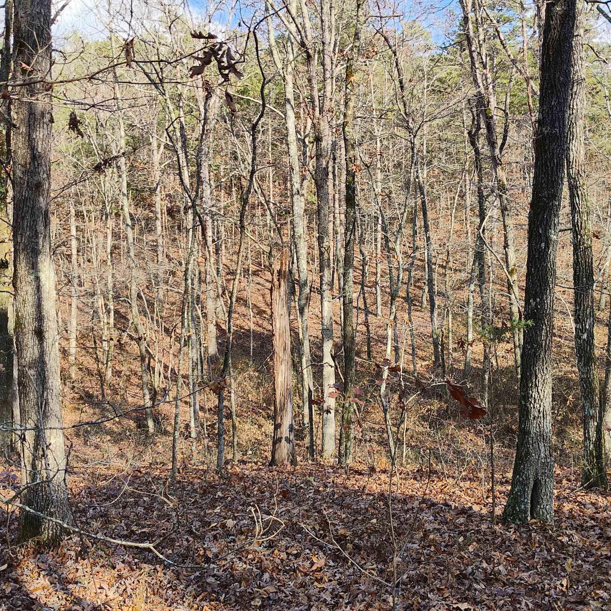 0 Pryor Mountain Dr  Quitman, AR