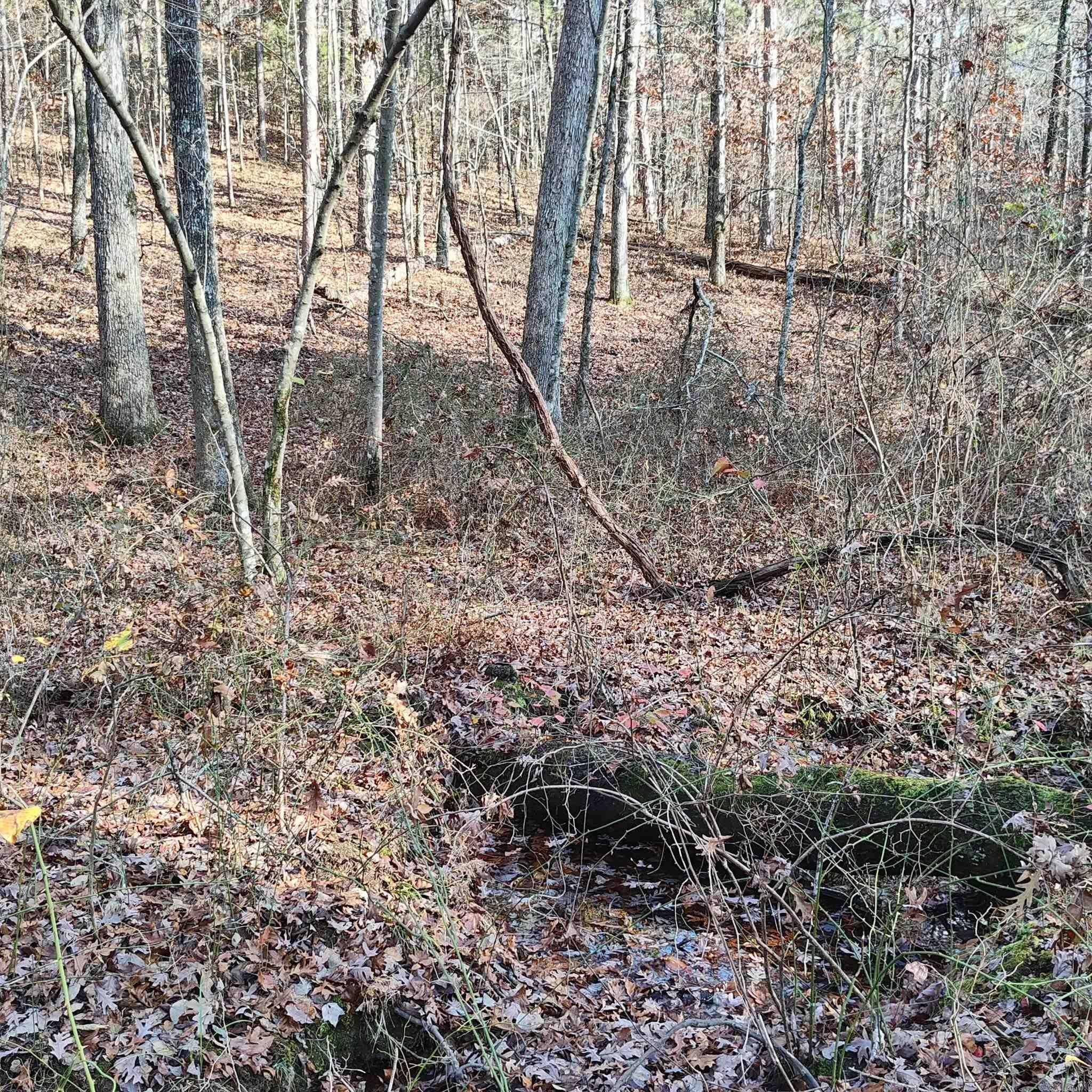 0 Pryor Mountain Dr  Quitman, AR