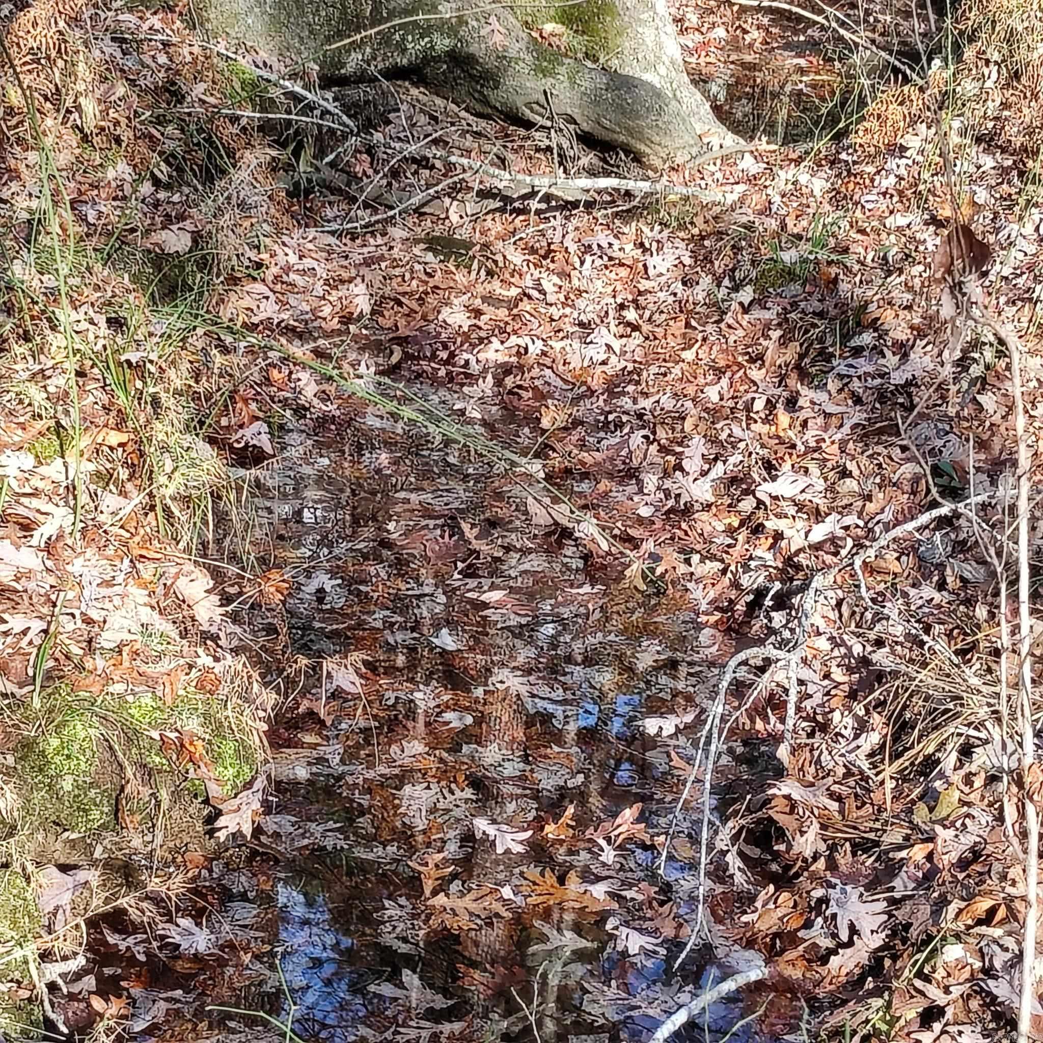 0 Pryor Mountain Dr  Quitman, AR