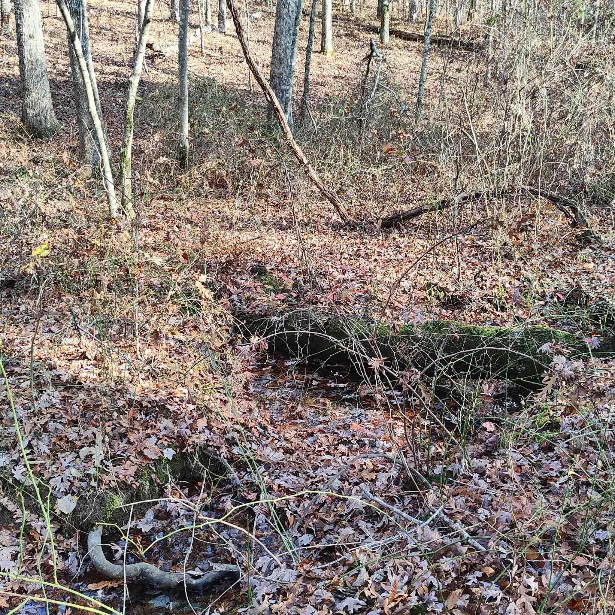 0 Pryor Mountain Dr  Quitman, AR