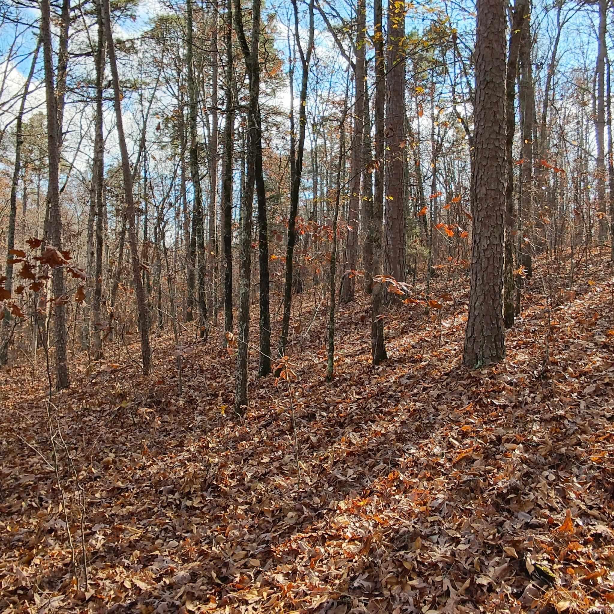 0 Pryor Mountain Dr  Quitman, AR