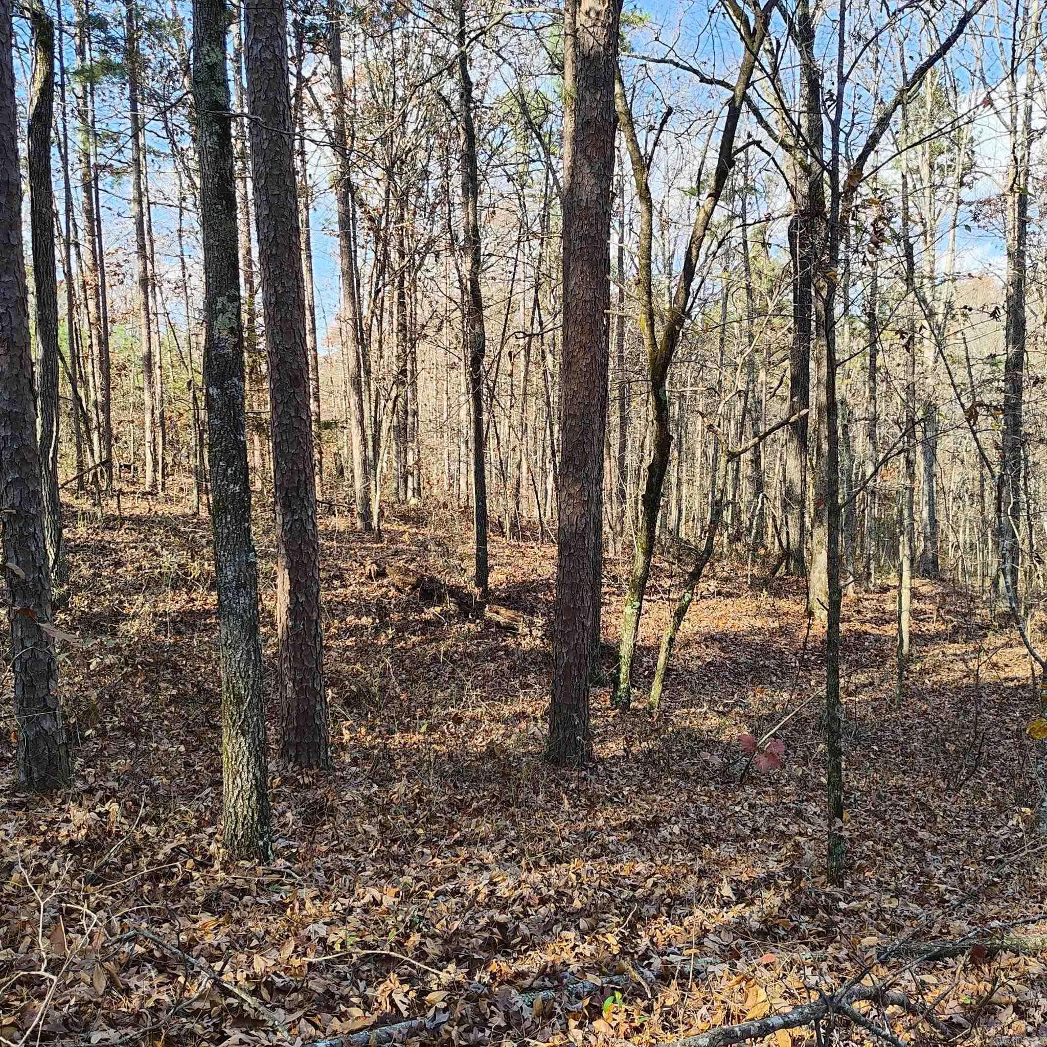 0 Pryor Mountain Dr  Quitman, AR