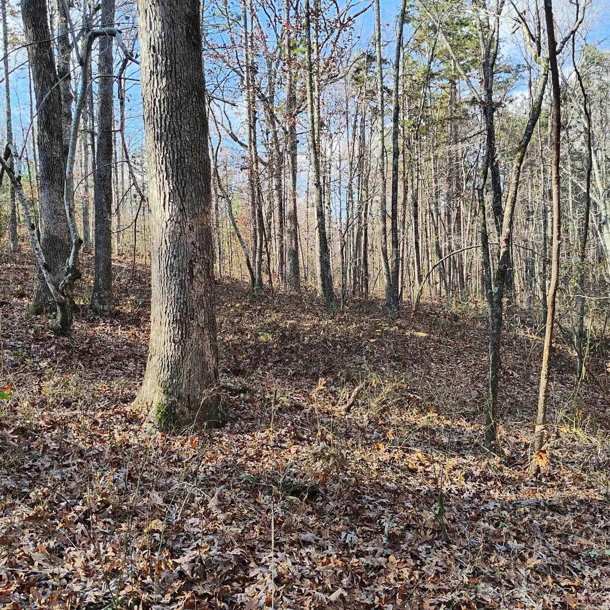 0 Pryor Mountain Dr  Quitman, AR