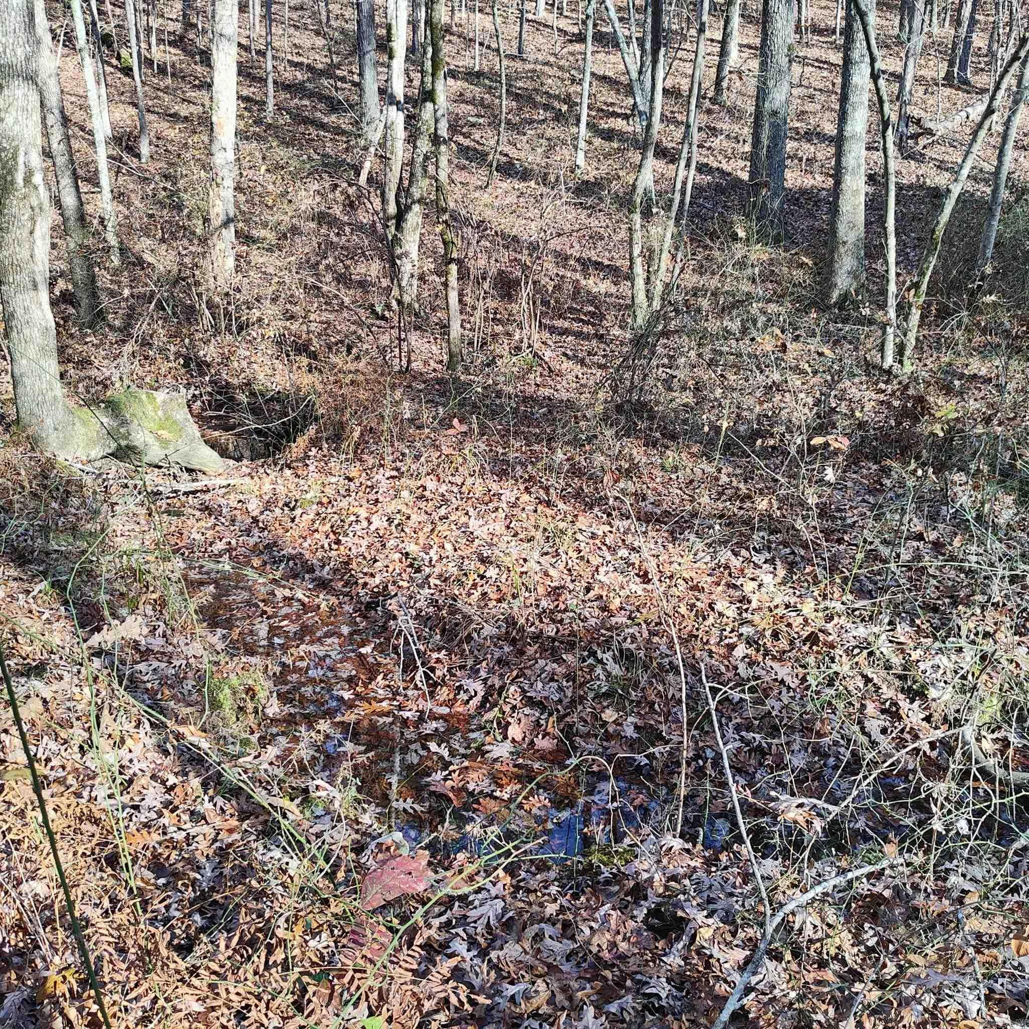 0 Pryor Mountain Dr  Quitman, AR