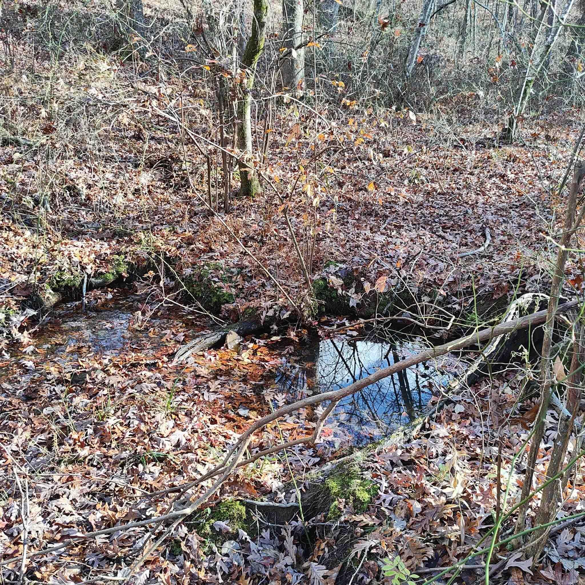 0 Pryor Mountain Dr  Quitman, AR