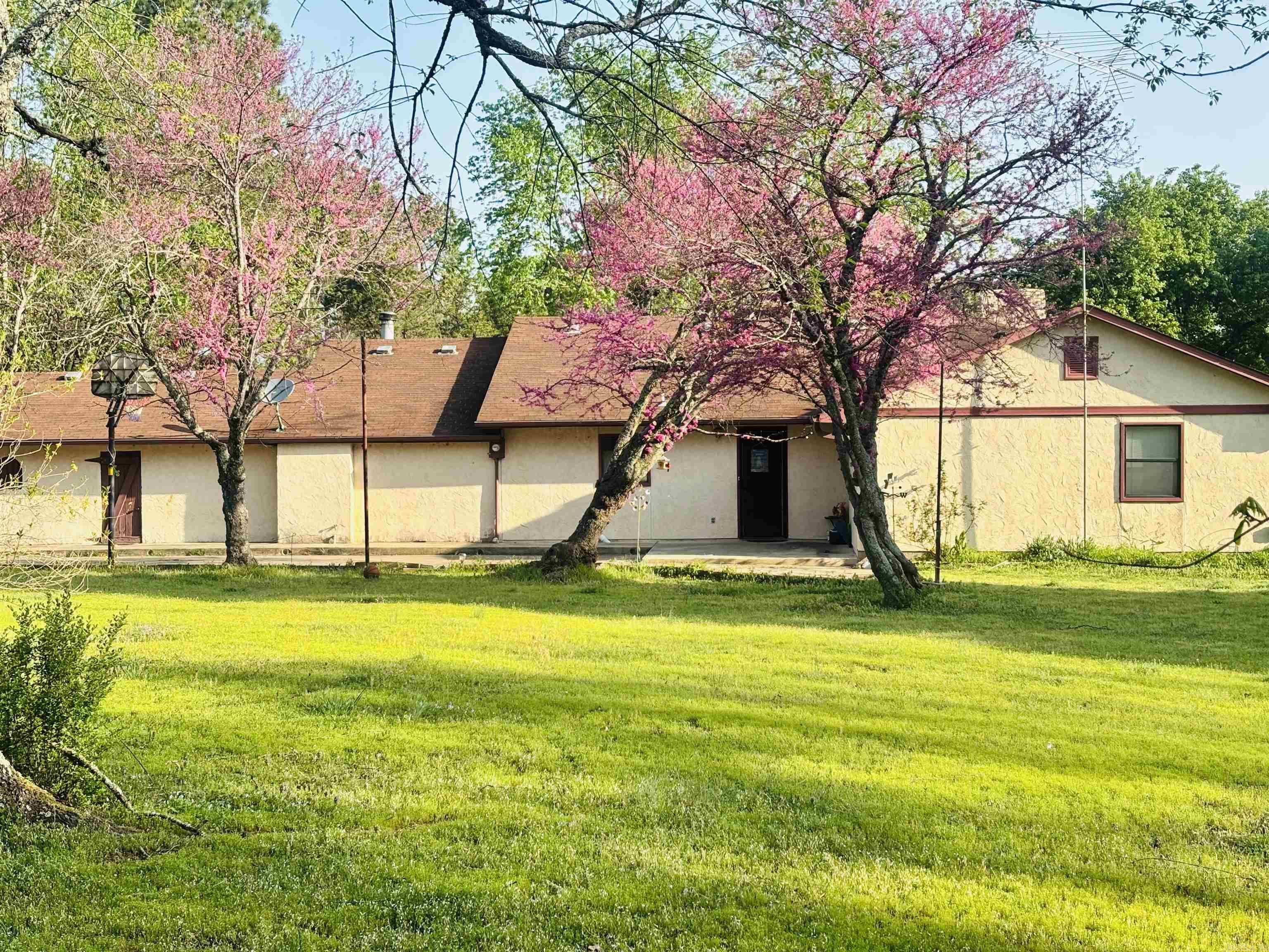 126  Dallas Ln  Mena, AR