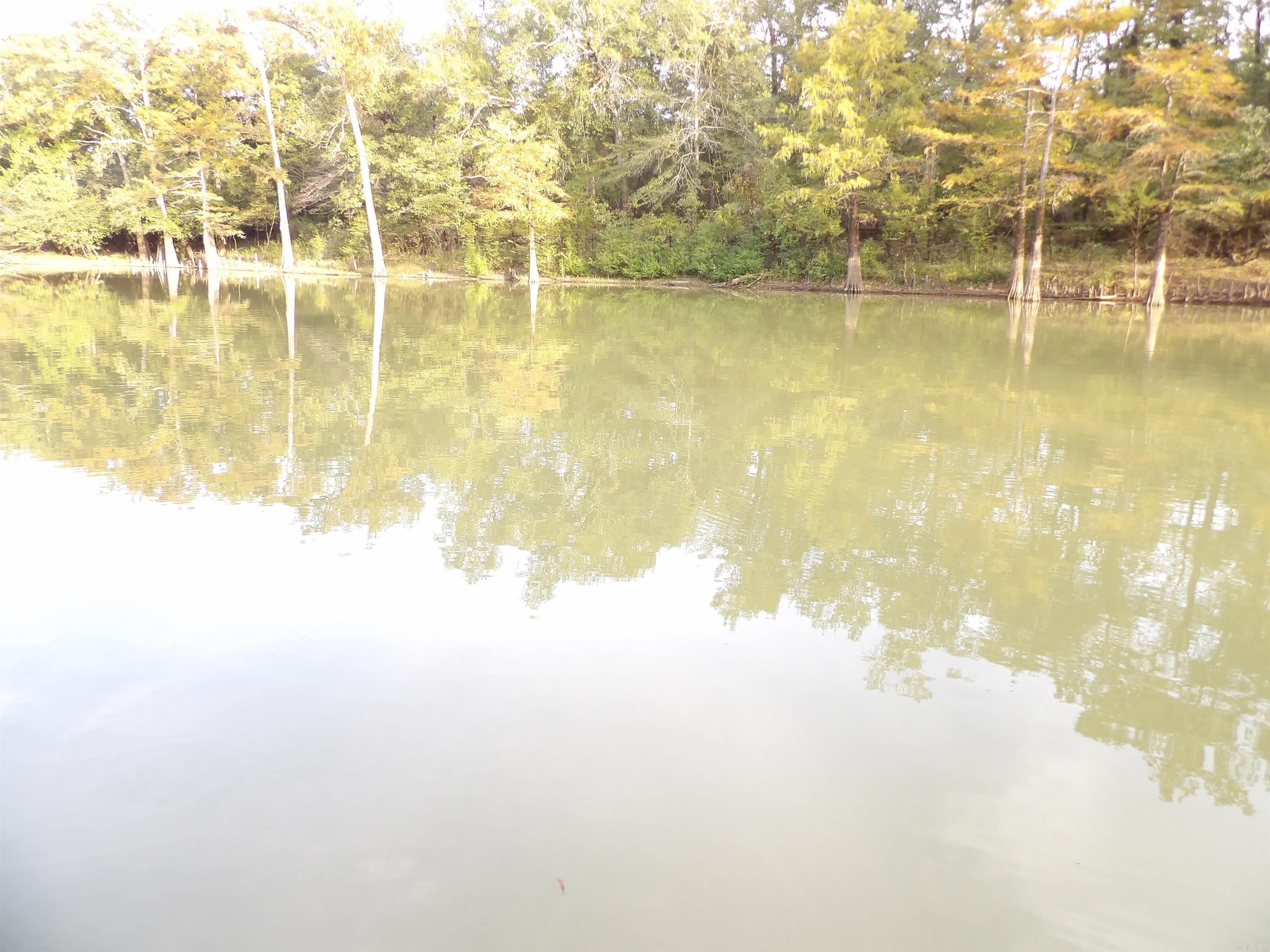 128 Bradley 955 Road Hermitage, AR 71647-0000