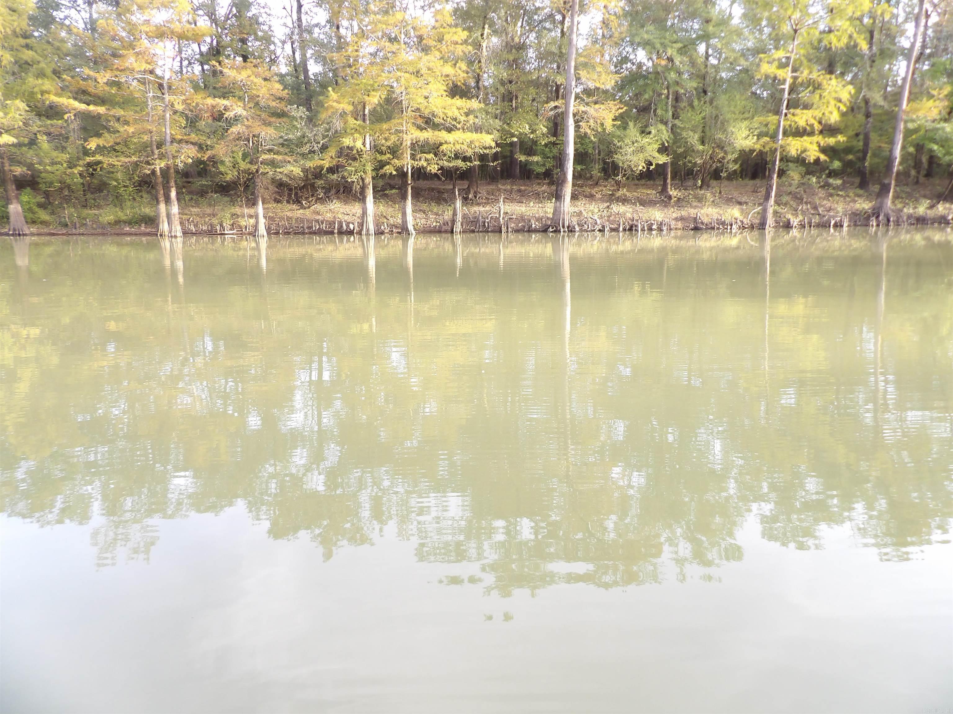 128 Bradley 955 Road Hermitage, AR 71647-0000