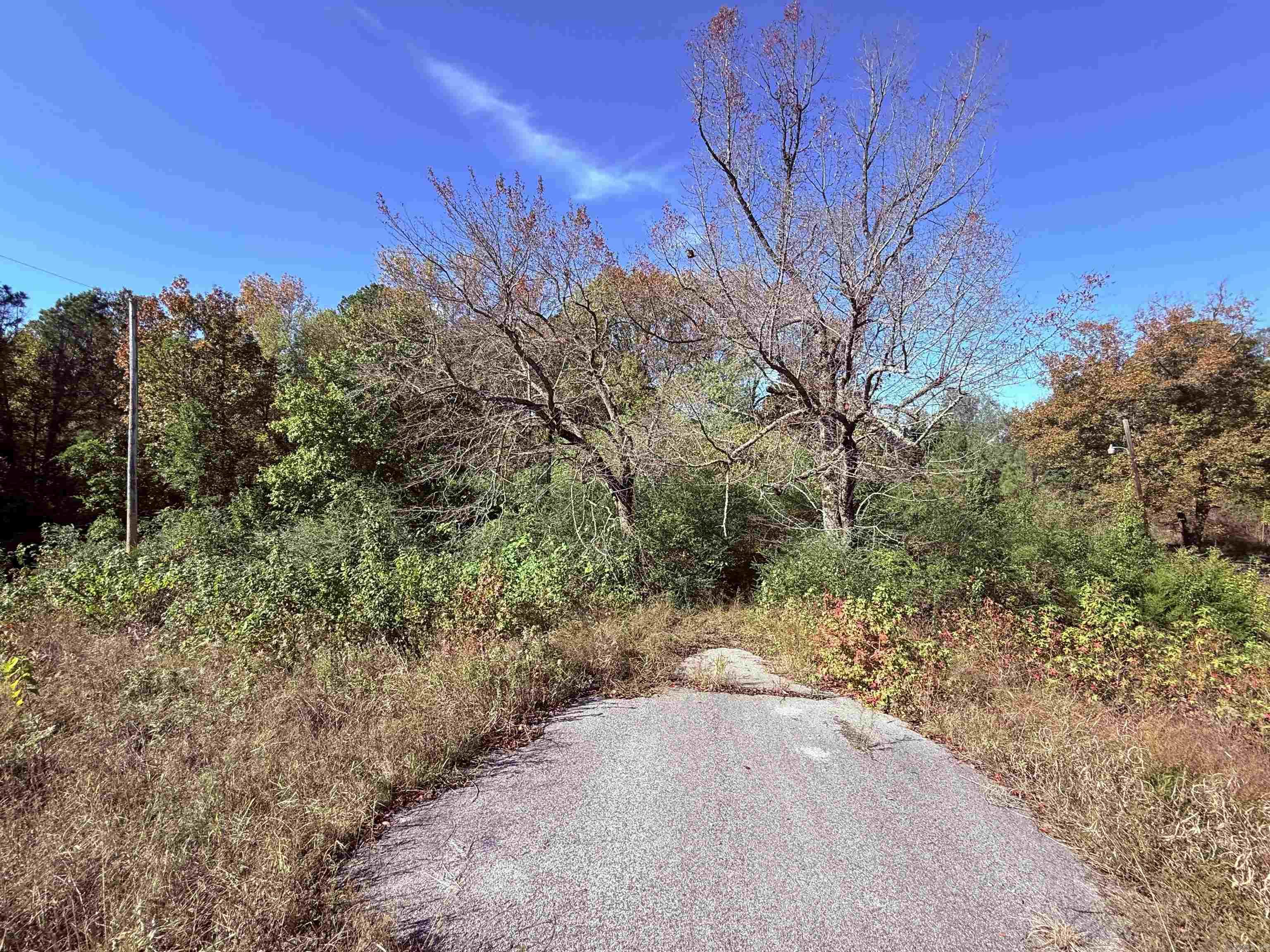 00 HWY 167  Bald Knob, AR