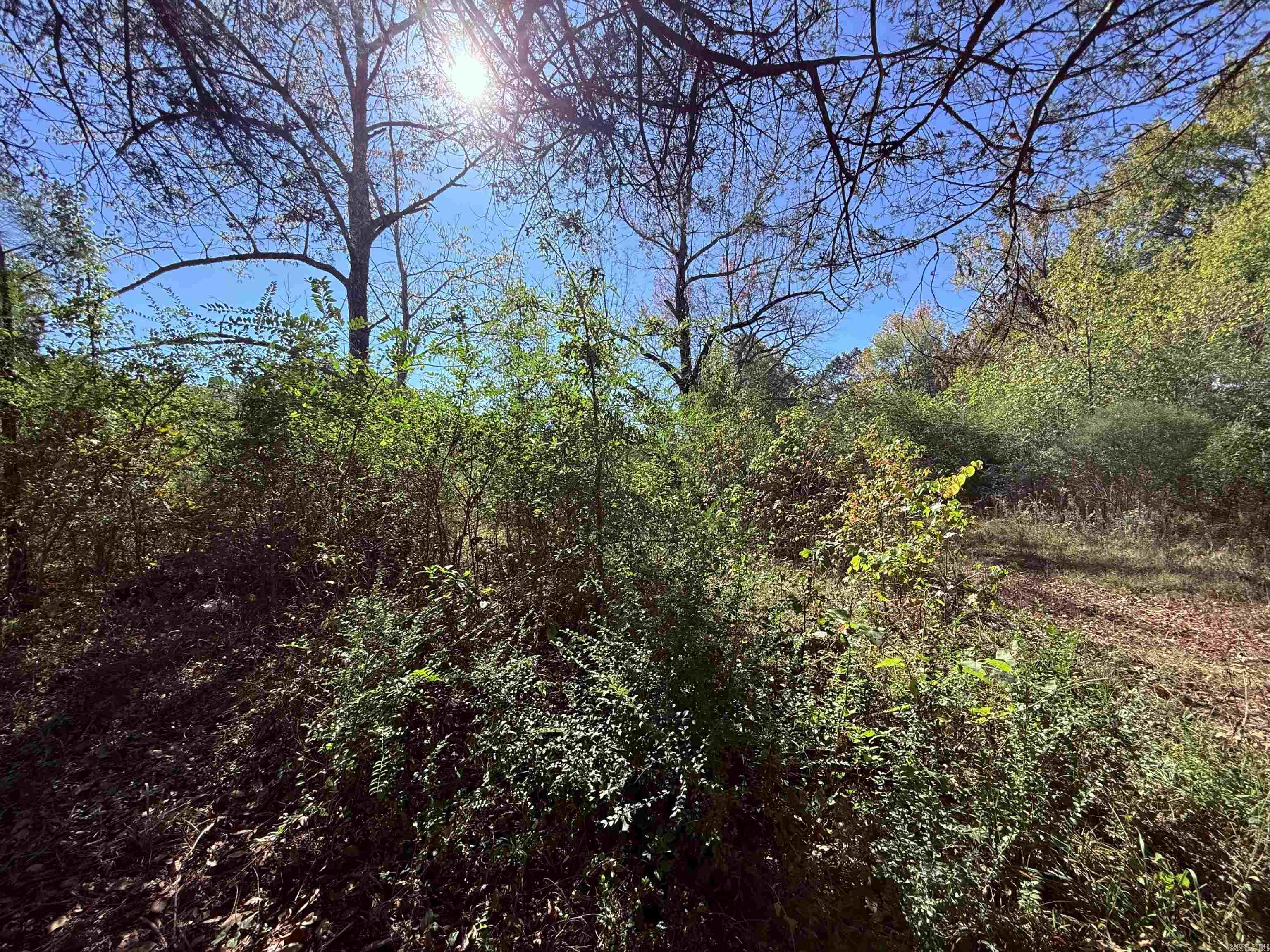 00 HWY 167  Bald Knob, AR