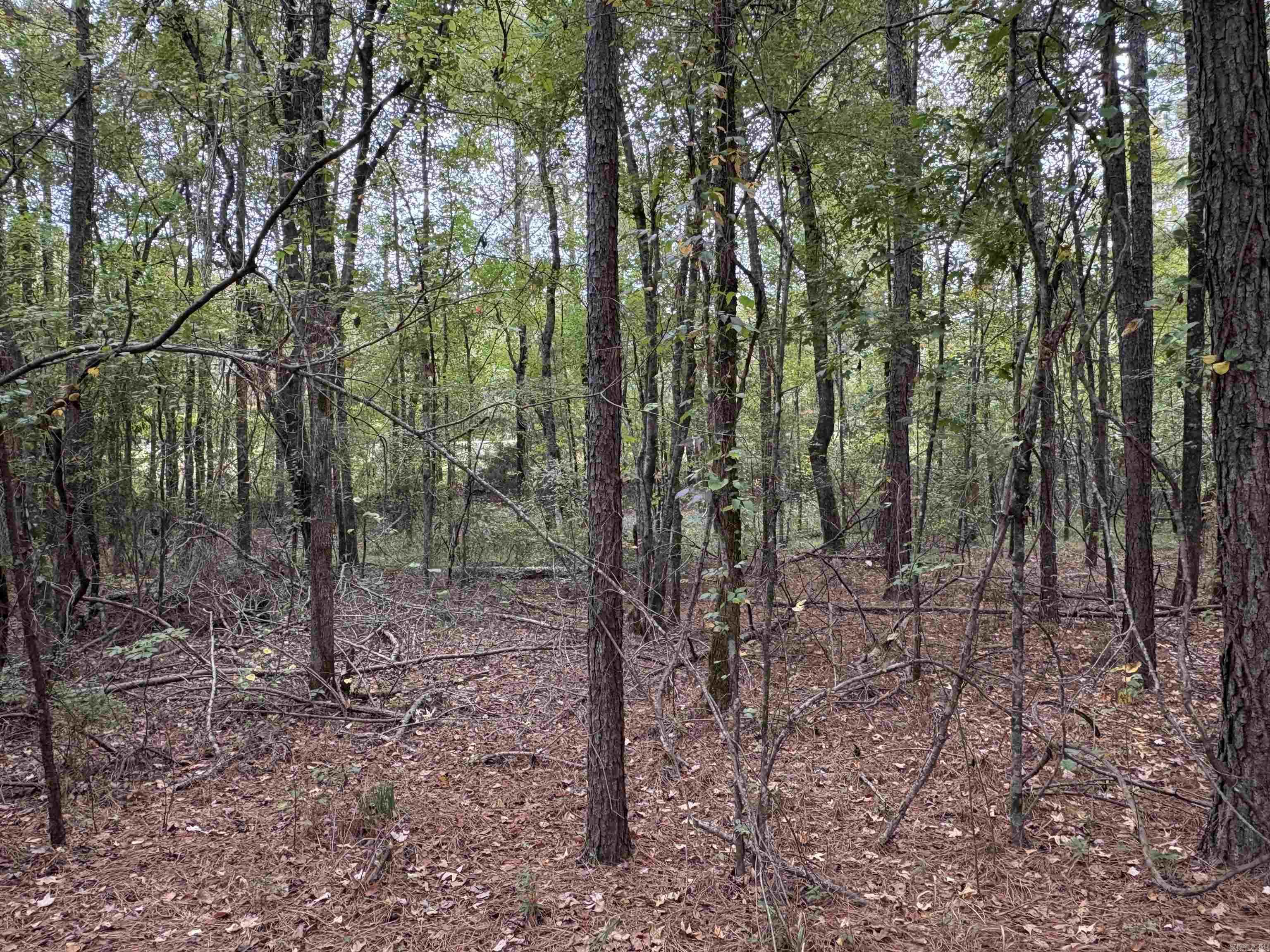 24853 S 425  Star City, AR