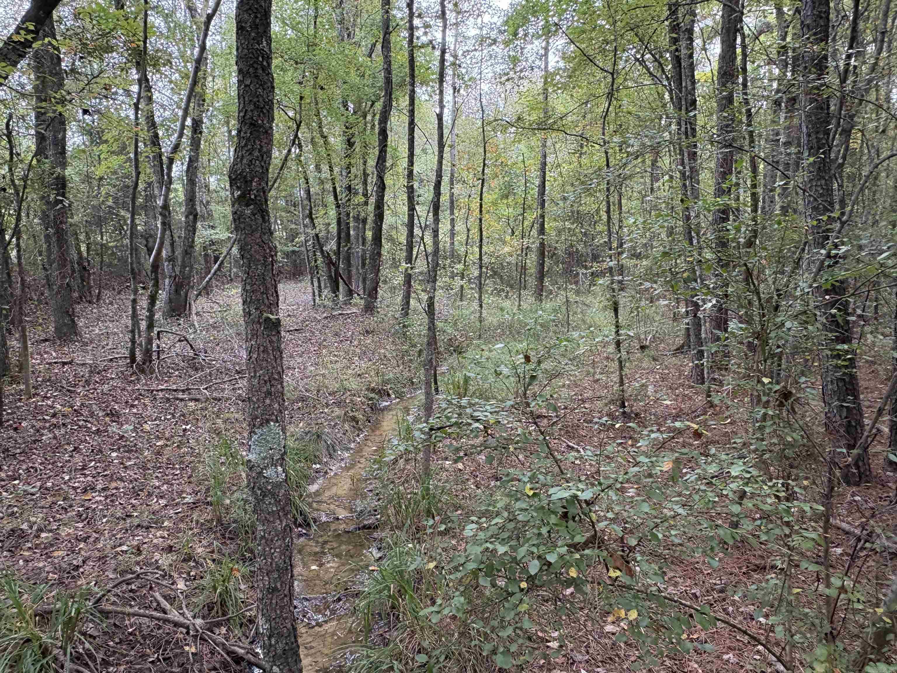 24853 S 425  Star City, AR