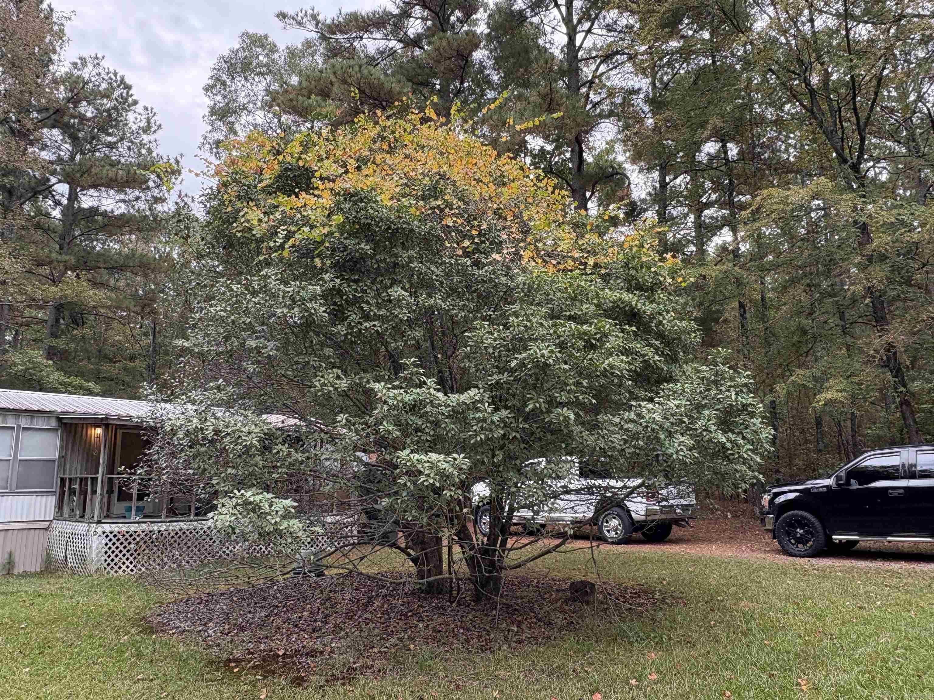 24853 S 425  Star City, AR