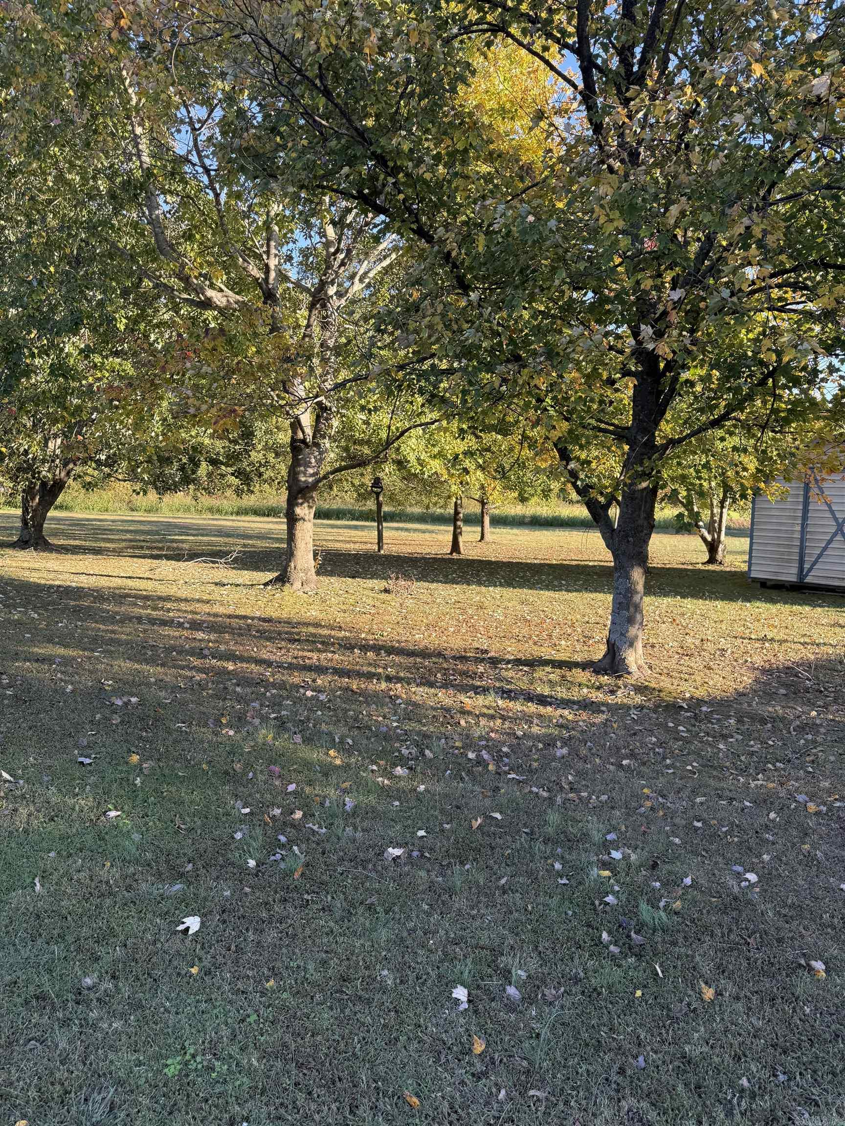 3202 Red Oak  Paragould, AR