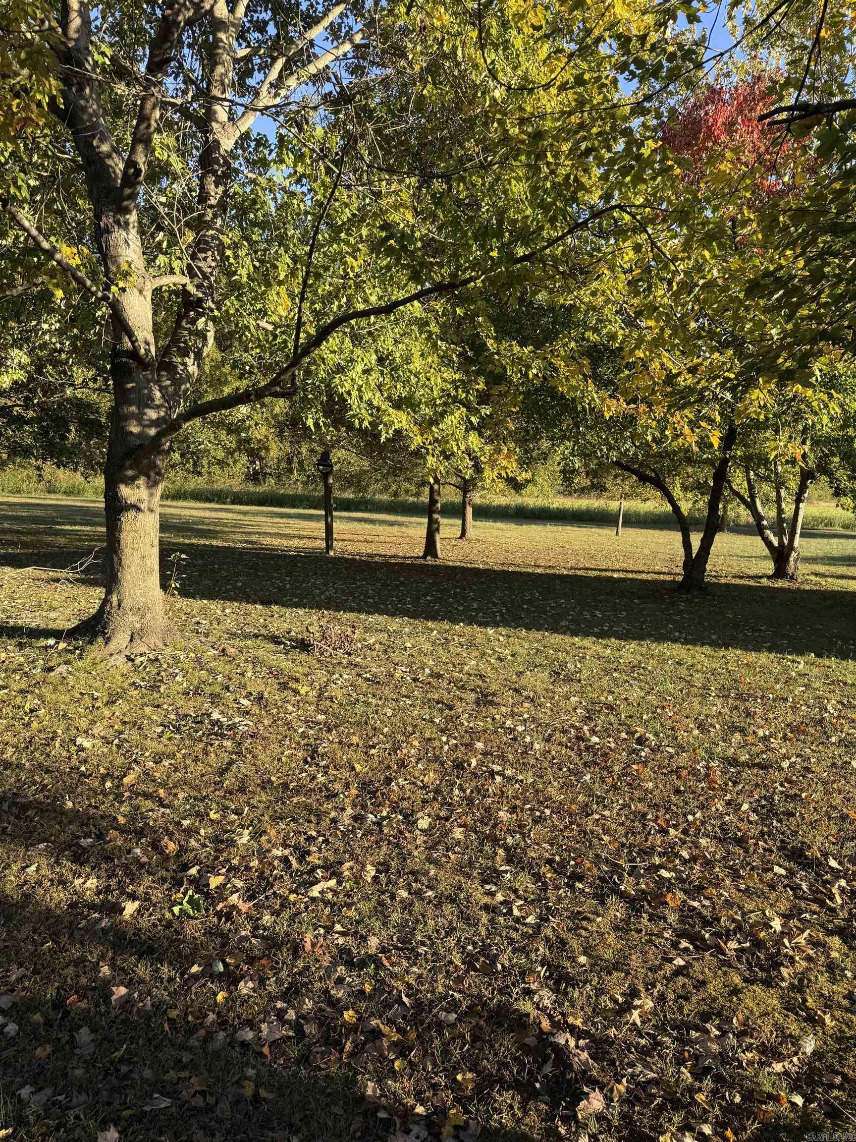 3202 Red Oak  Paragould, AR