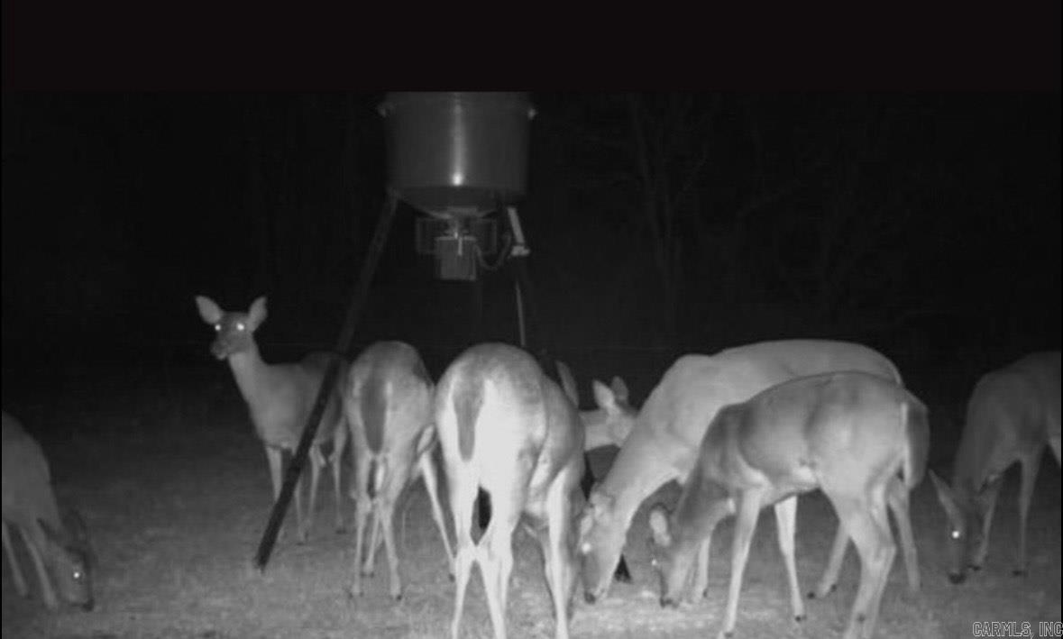 24 Mahan  Damascus, AR