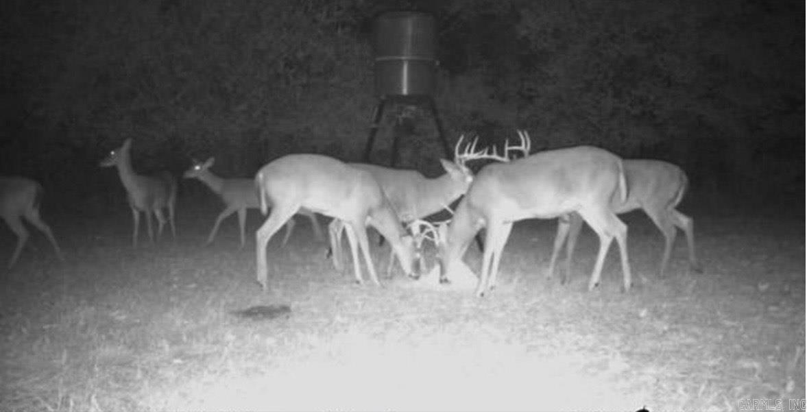 24 Mahan  Damascus, AR