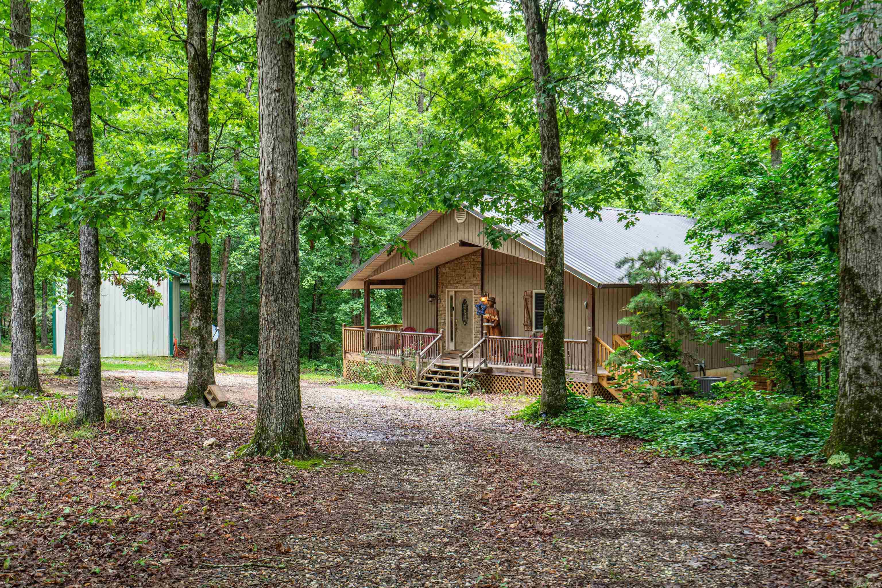 61 Muscadine  Mount Ida, AR