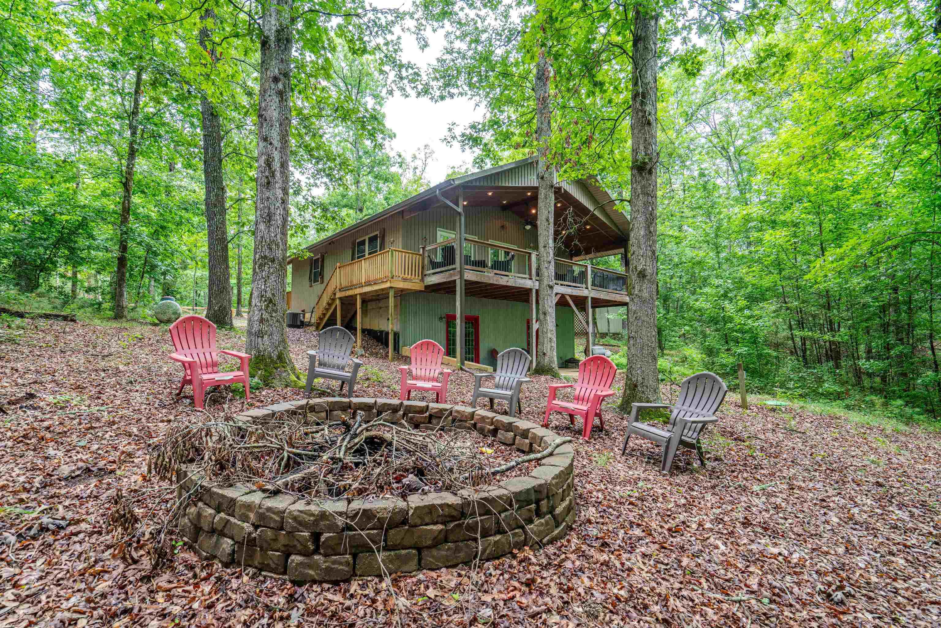 61 Muscadine  Mount Ida, AR