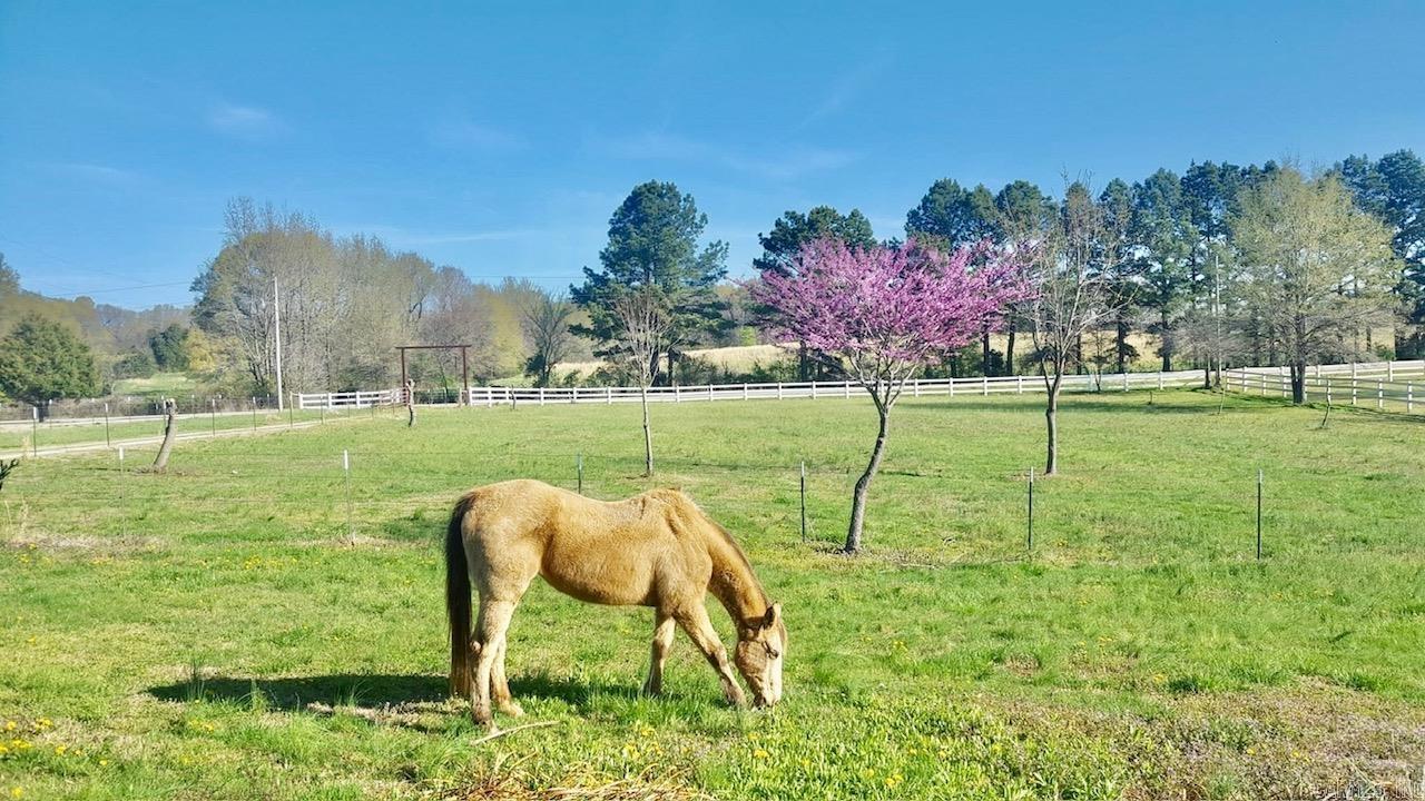 900 County Road 730  Jonesboro, AR