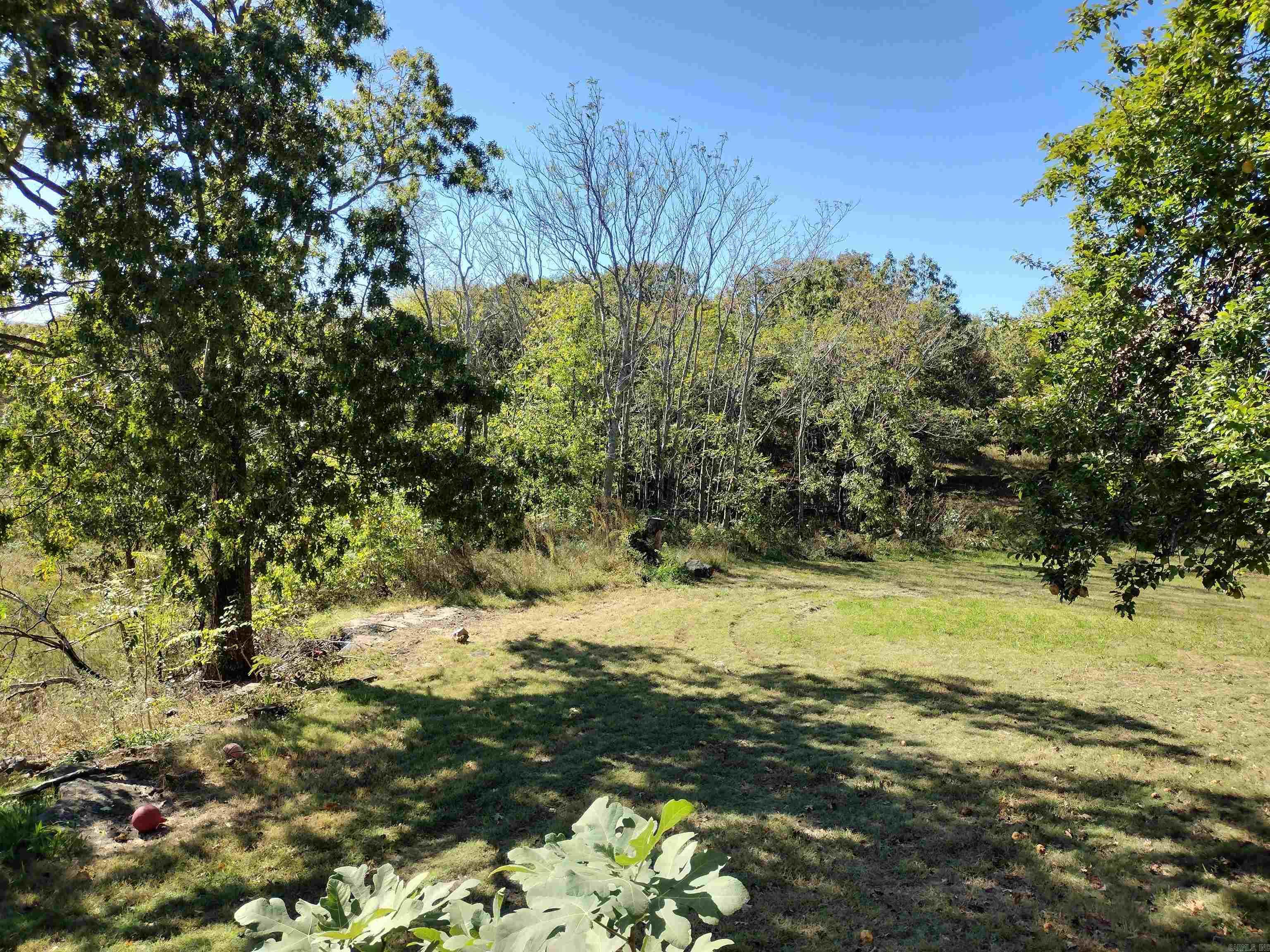 457 Haywood LN  Mountain View, AR