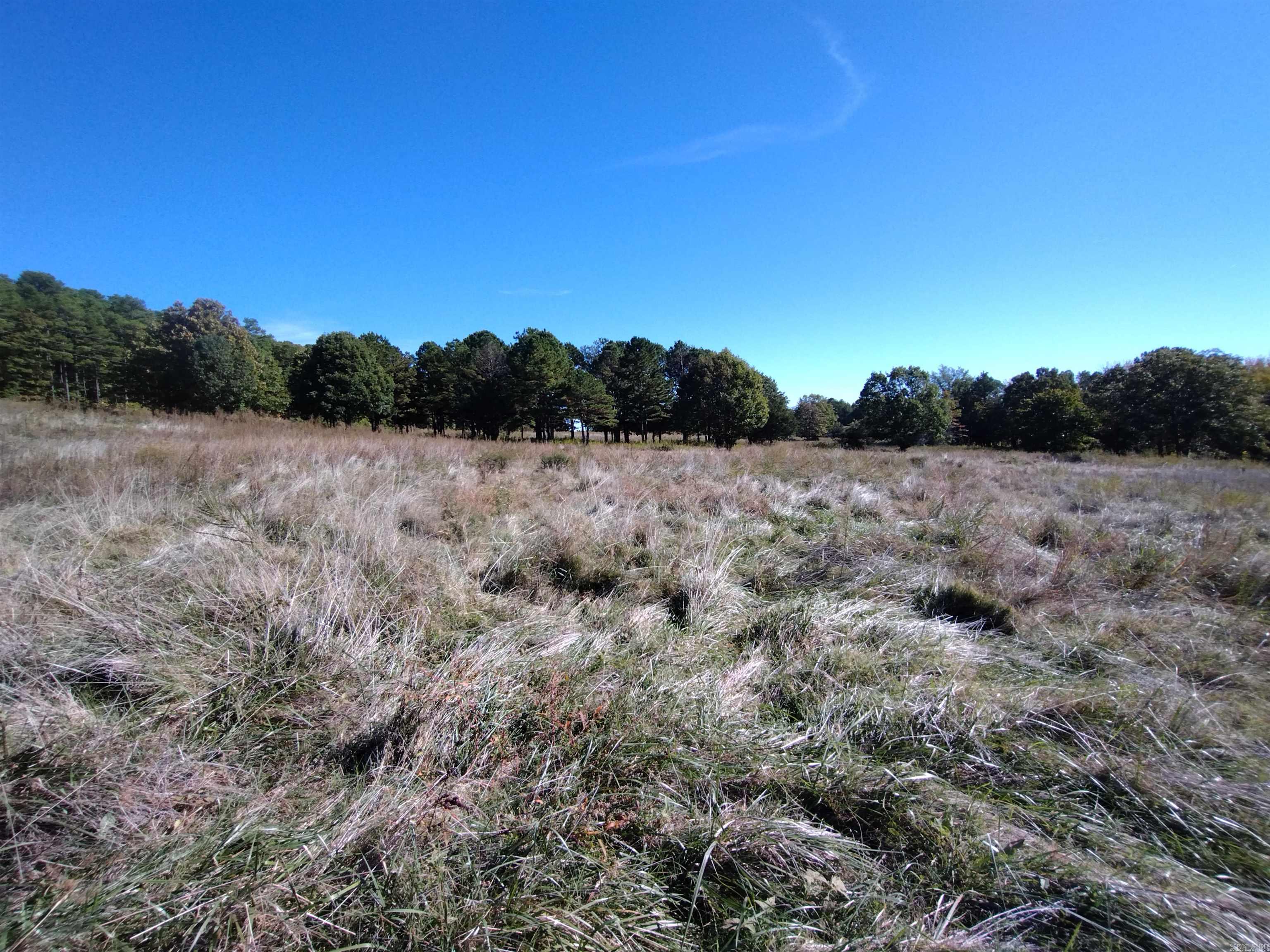 457 Haywood LN  Mountain View, AR