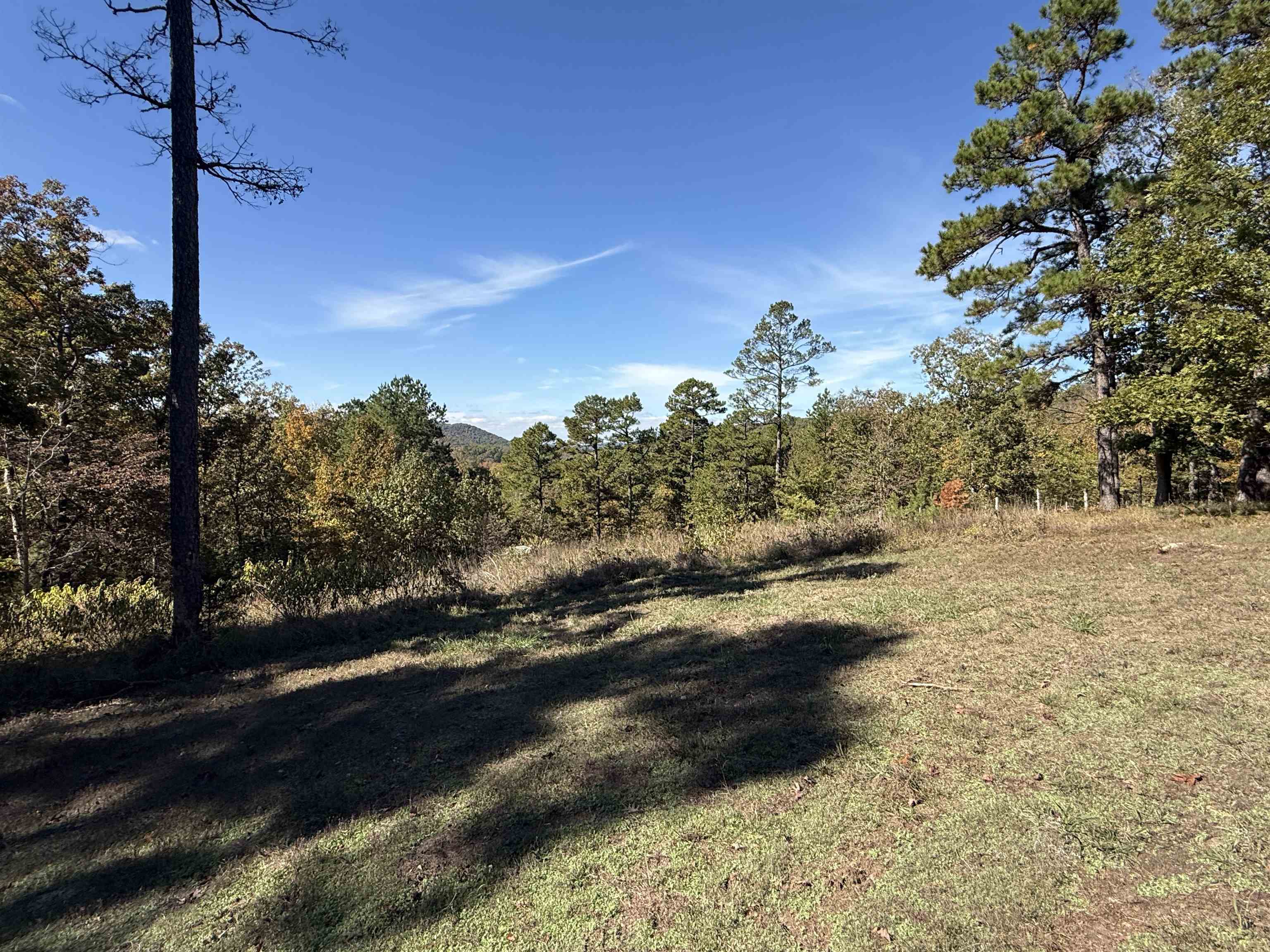 760 Red Fern Road Melbourne, AR 72556