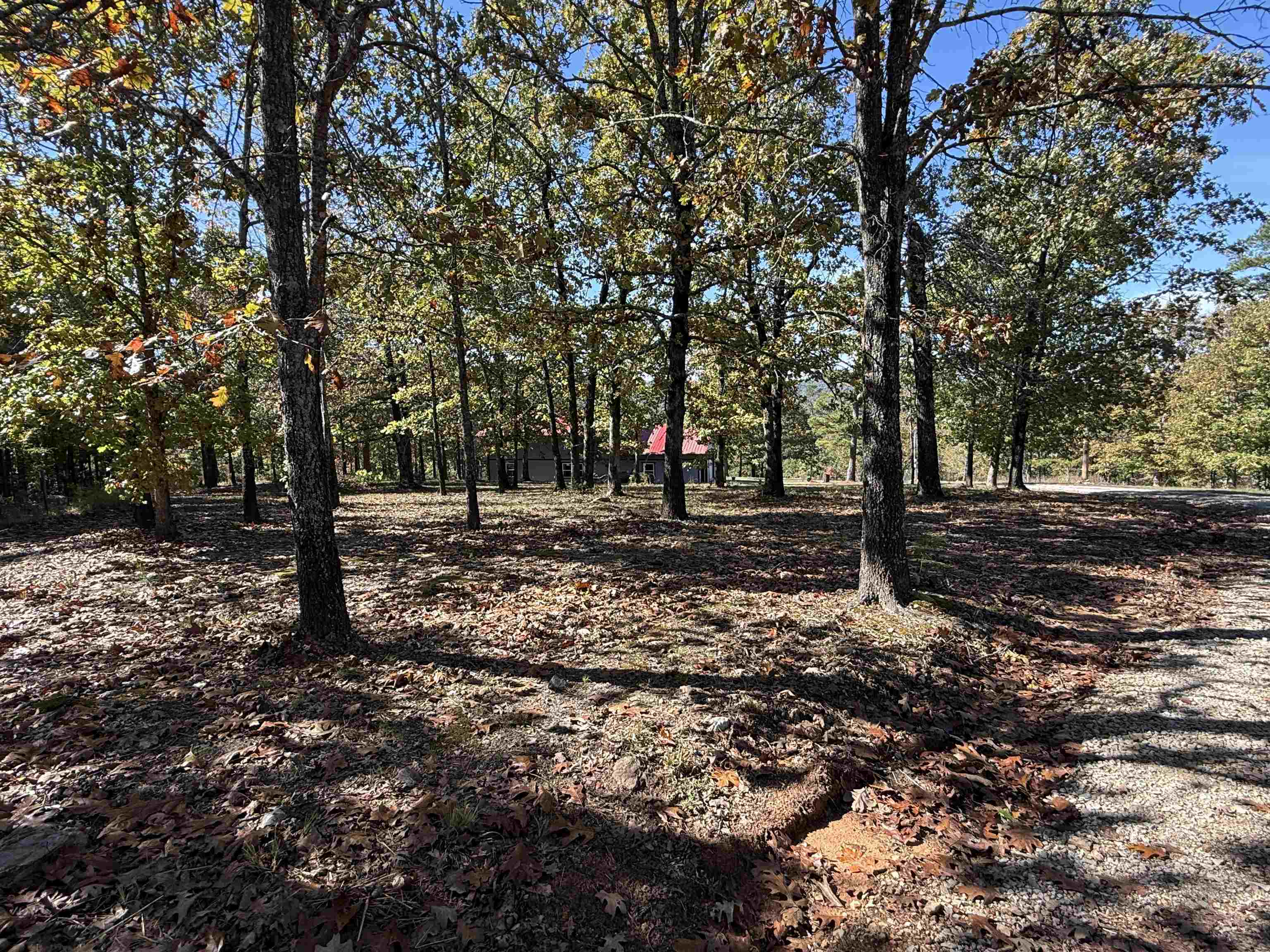 760 Red Fern Road Melbourne, AR 72556