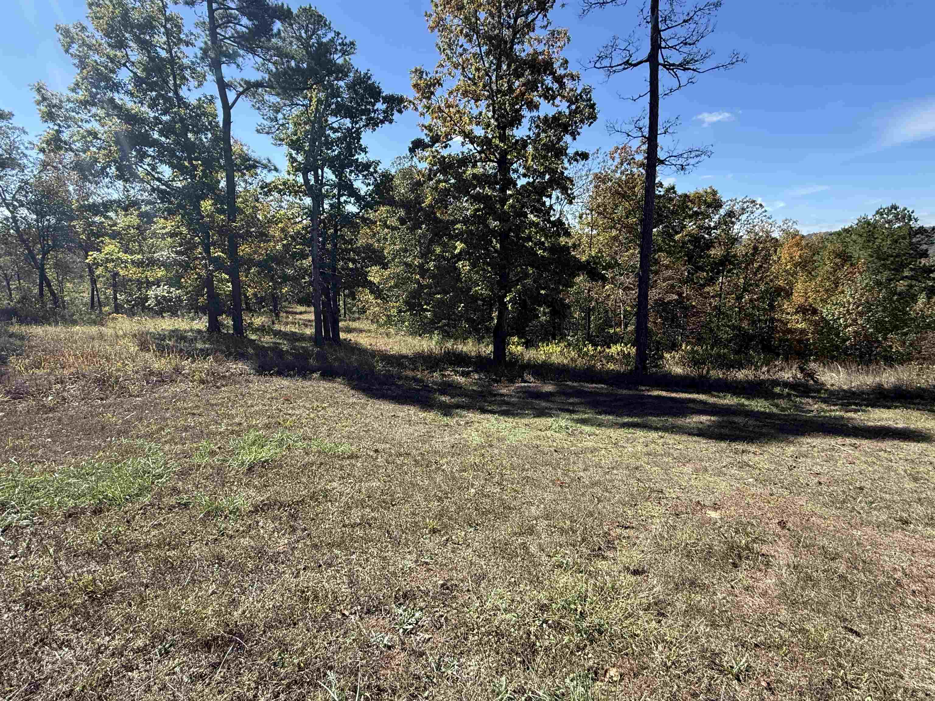 760 Red Fern Road Melbourne, AR 72556