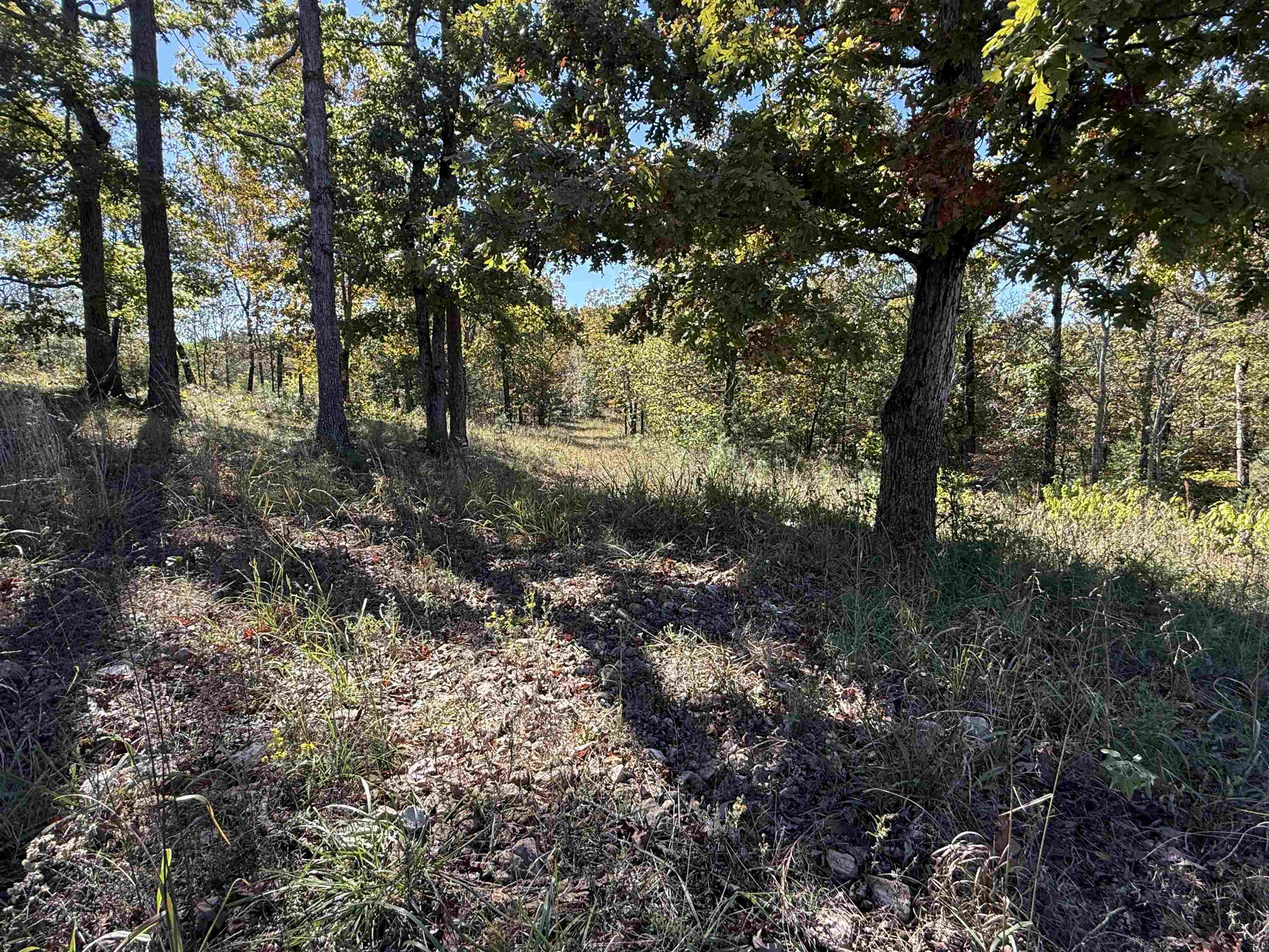 760 Red Fern Road Melbourne, AR 72556