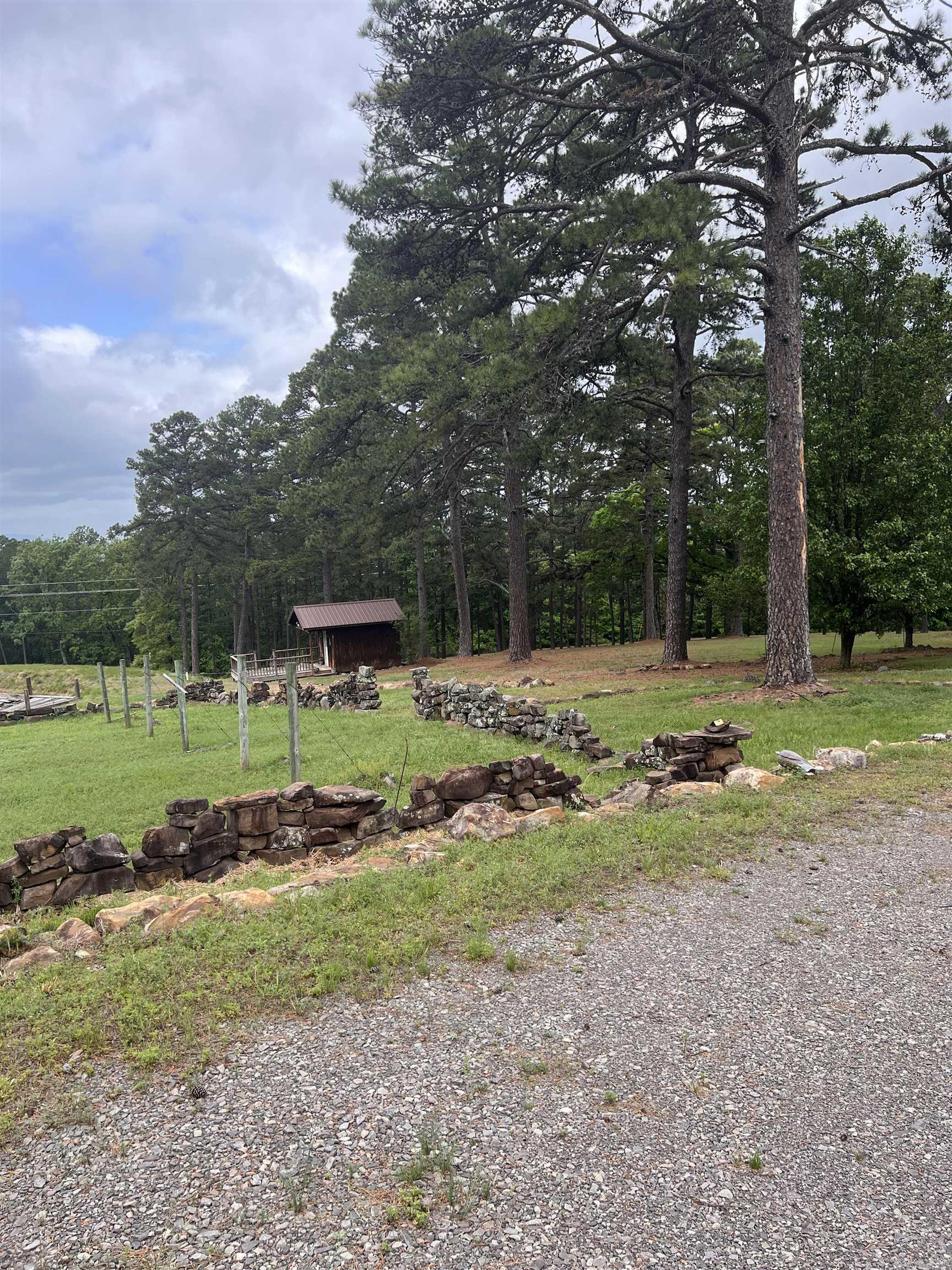 10127 George Mountain Loop Danville, AR 72833