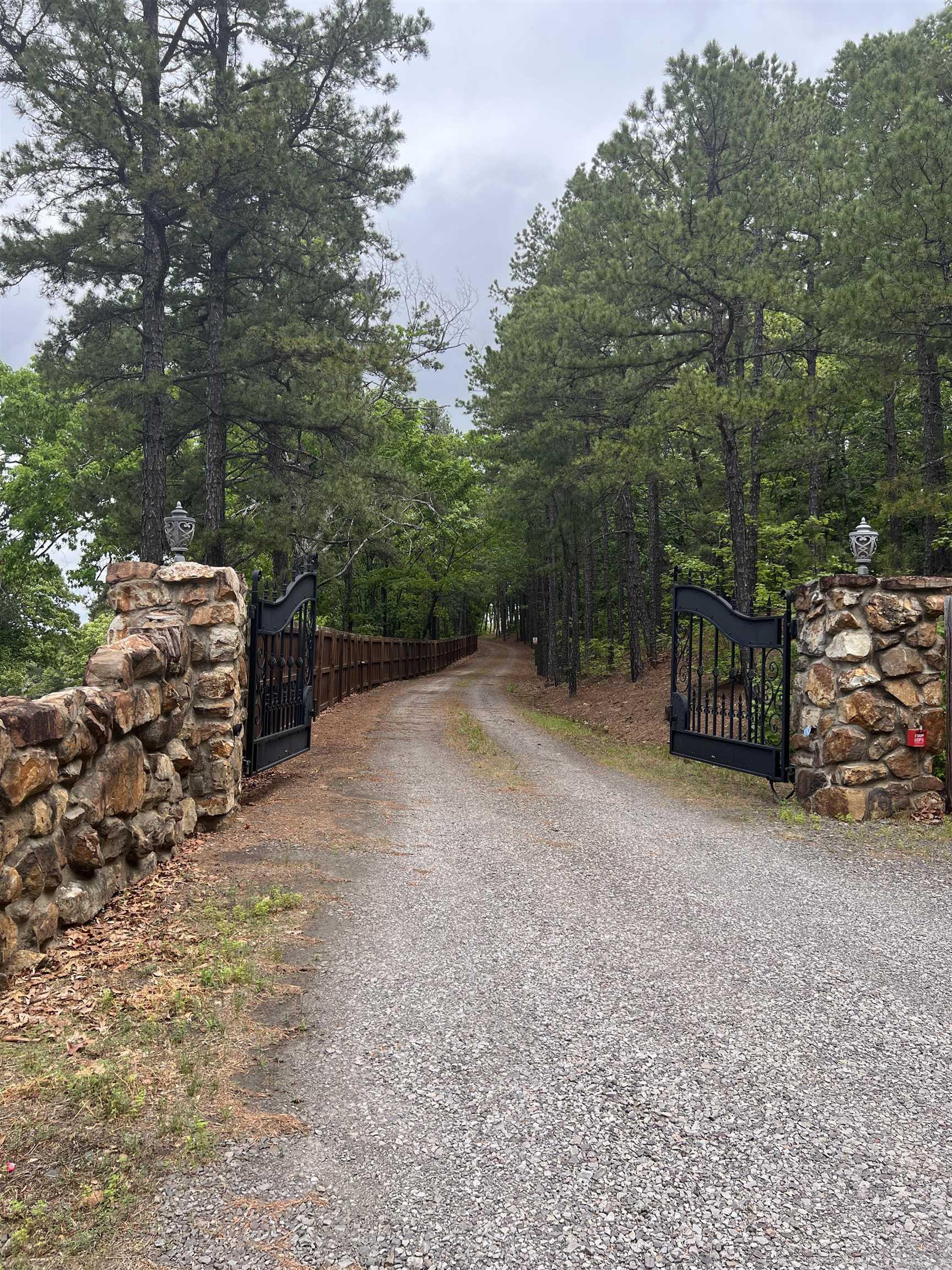 10127 George Mountain Loop Danville, AR 72833