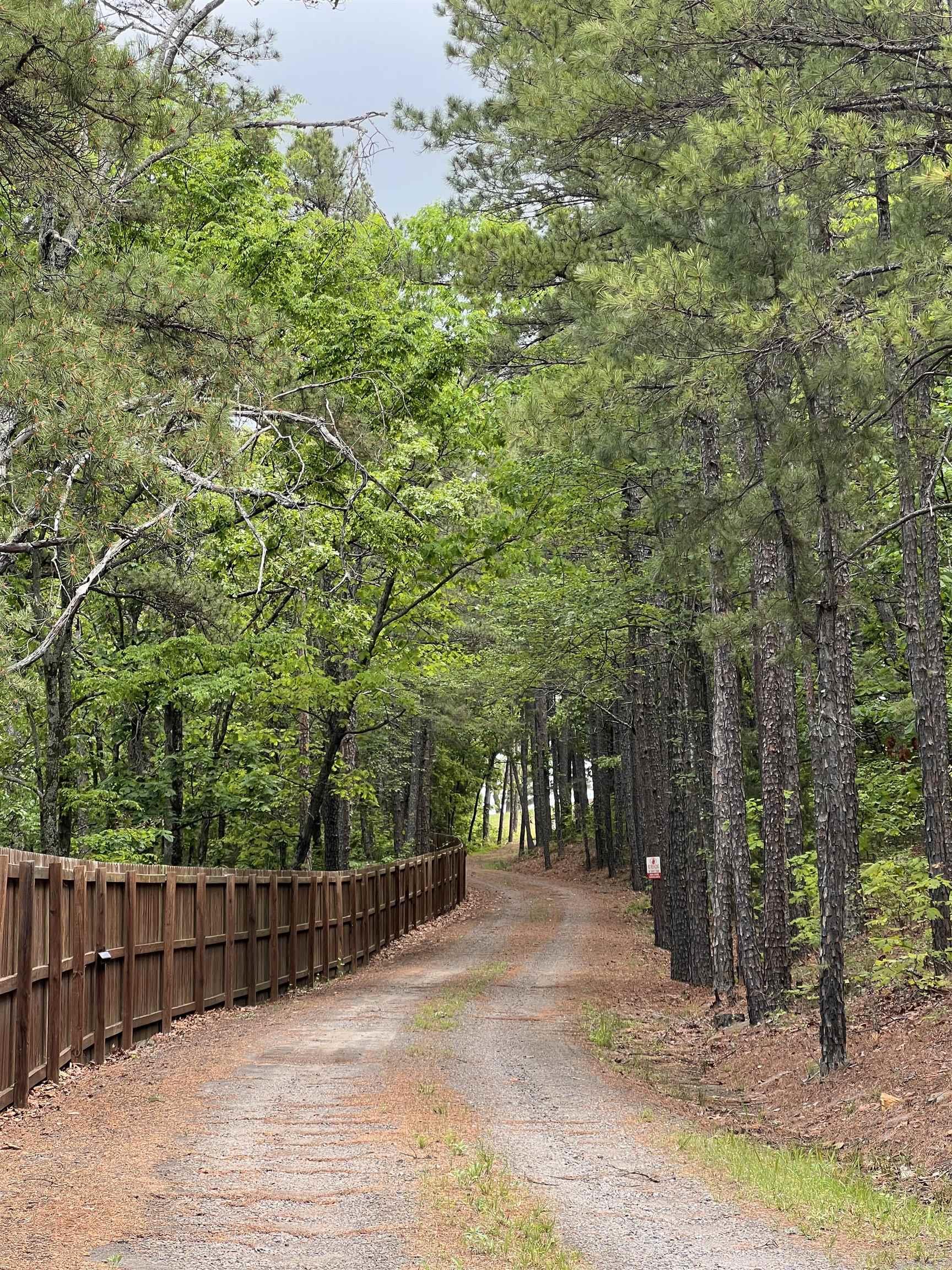 10127 George Mountain Loop Danville, AR 72833
