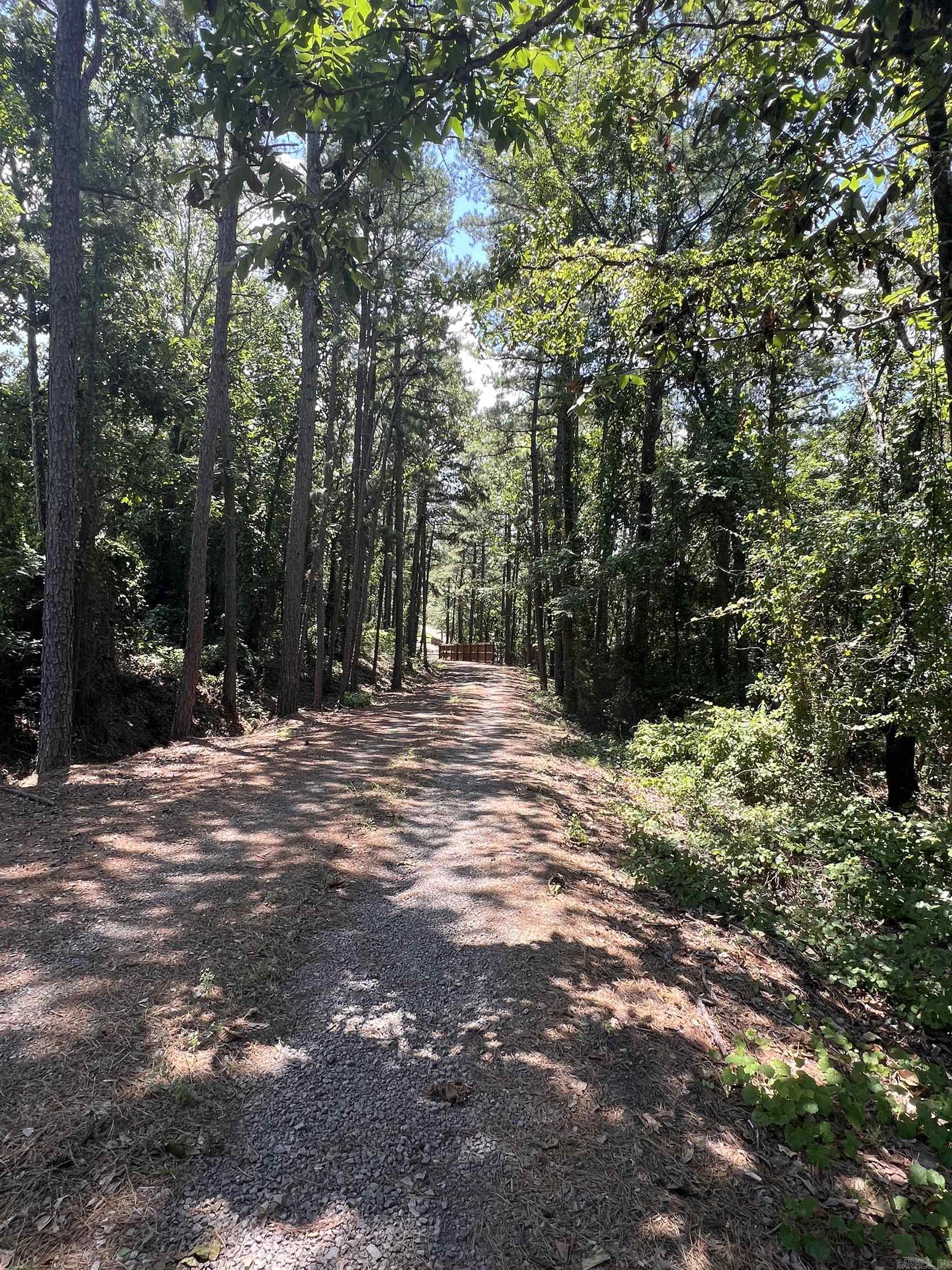 10127 George Mountain Loop Danville, AR 72833