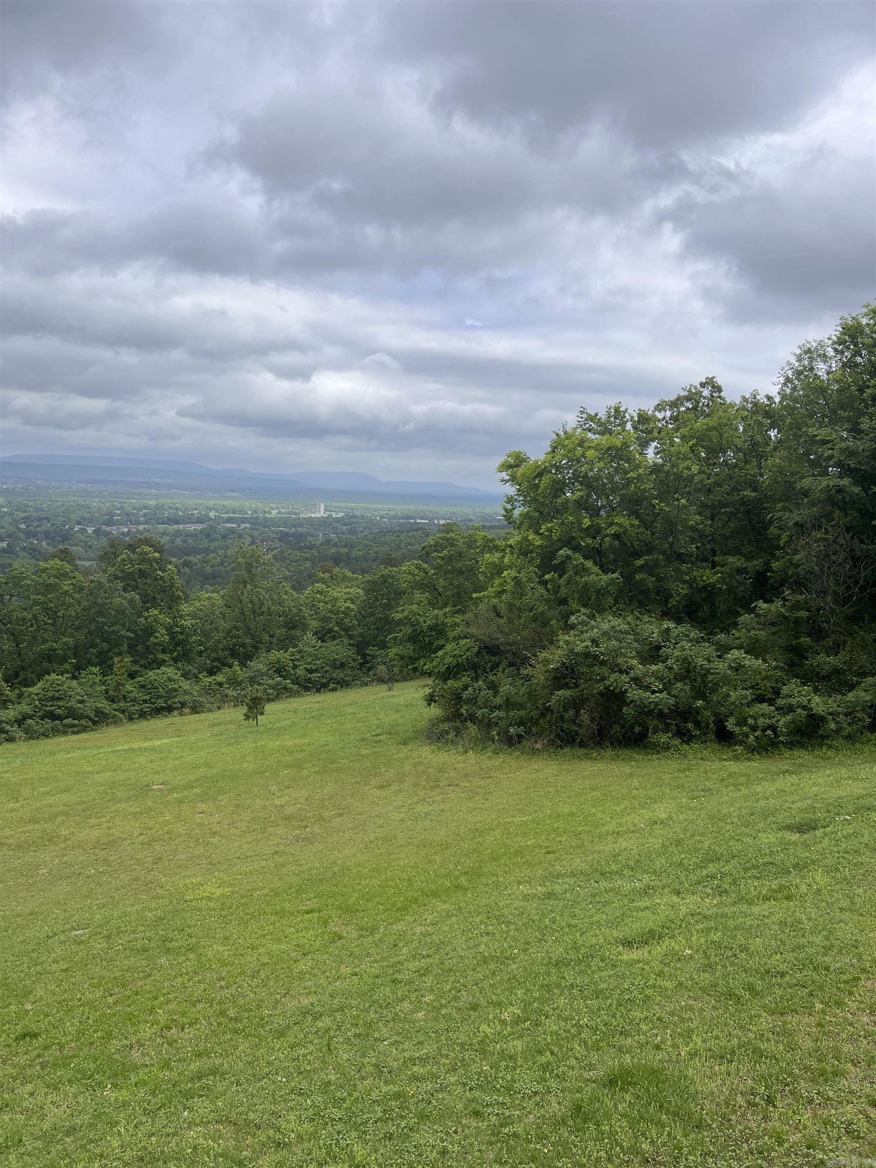 10127 George Mountain Loop Danville, AR 72833