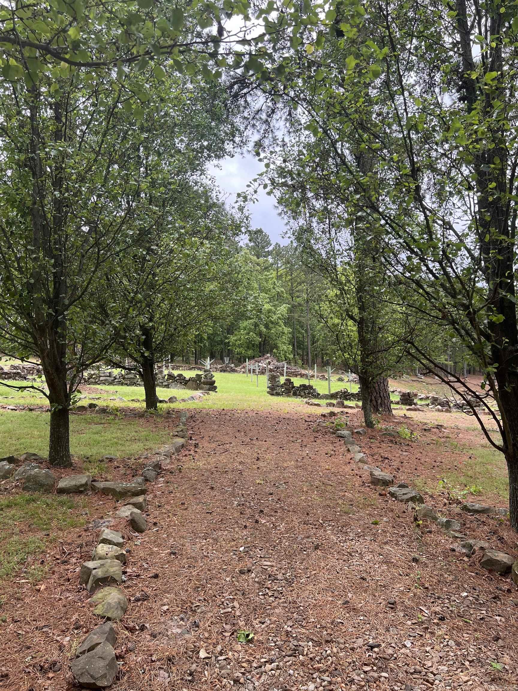 10127 George Mountain Loop Danville, AR 72833