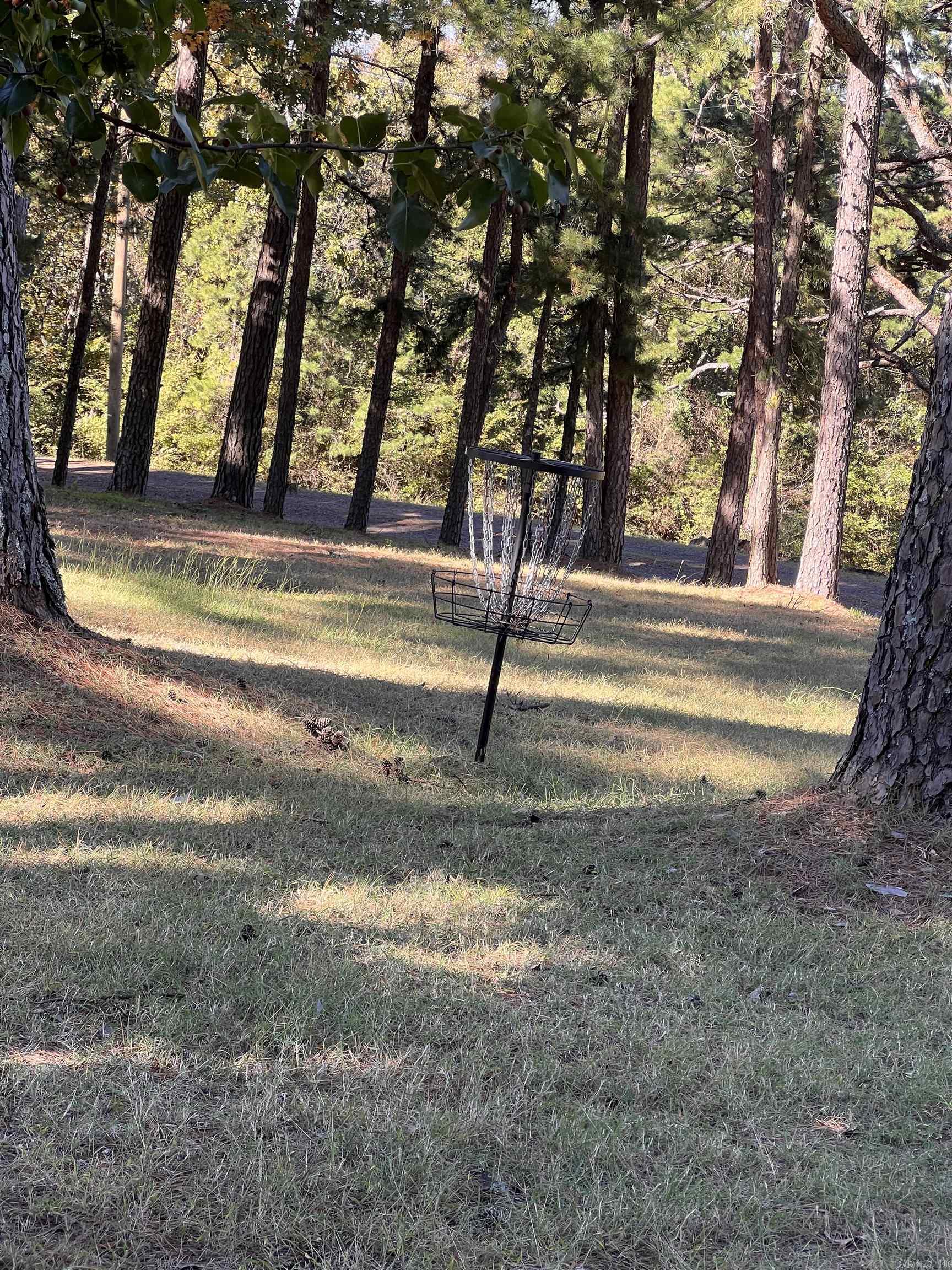 10127 George Mountain Loop Danville, AR 72833
