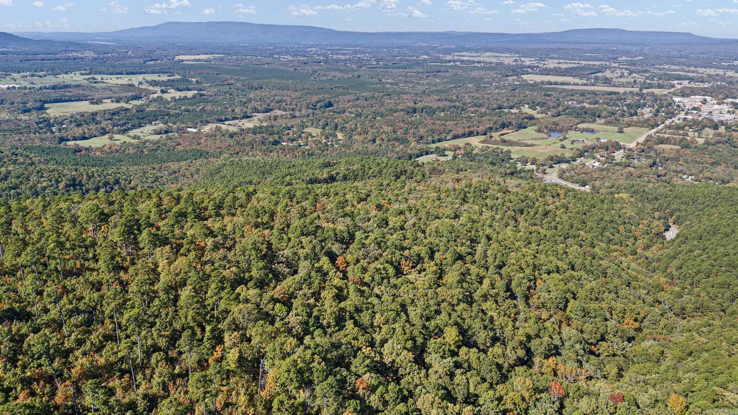 10127 George Mountain  Danville, AR