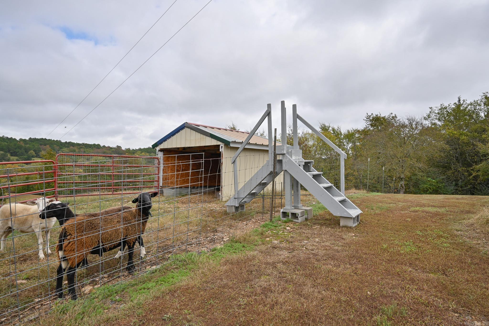 146 Peta Ln Mena, AR 71953