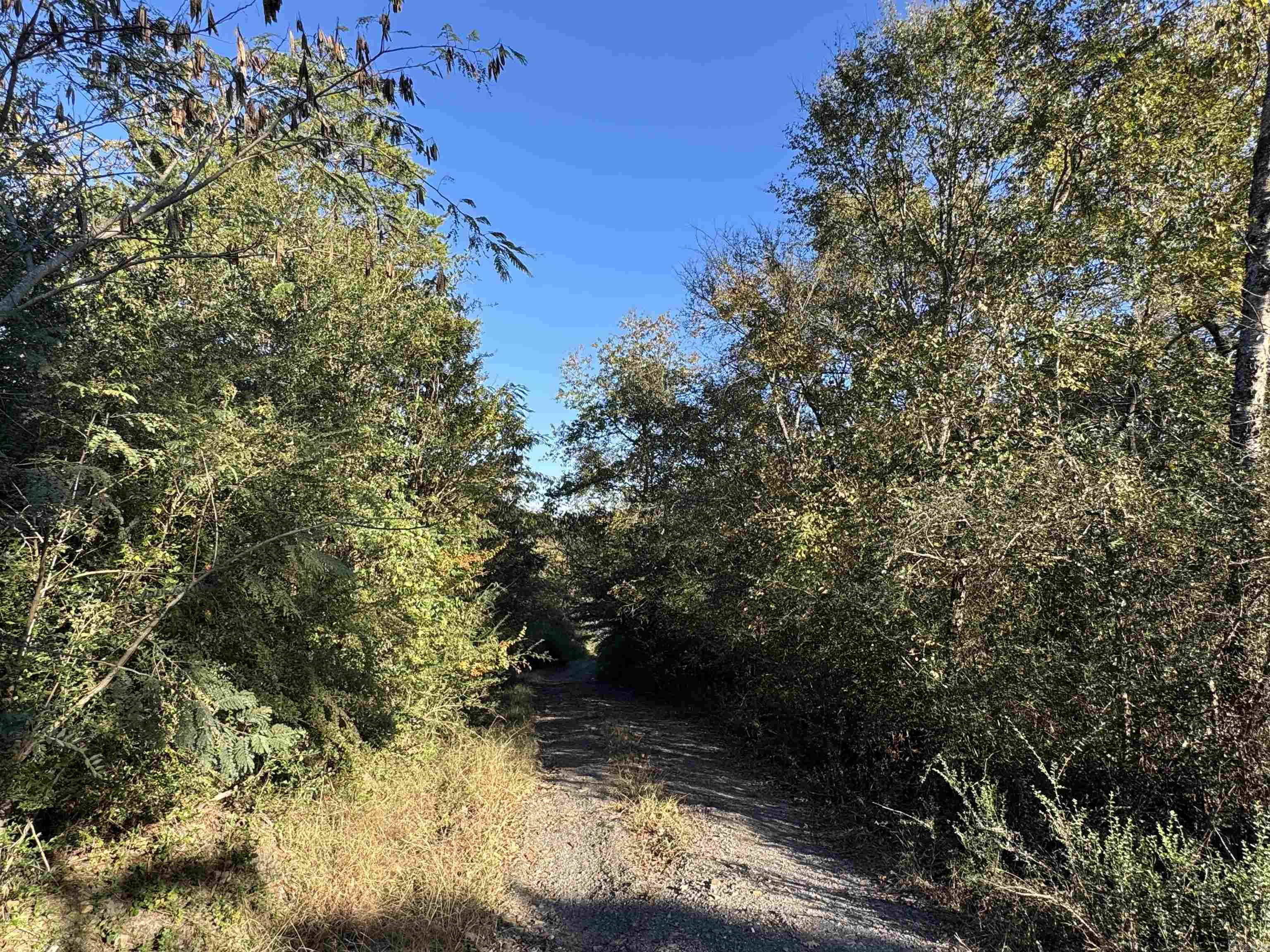 112 Breezy Lane Hatfield, AR 71945