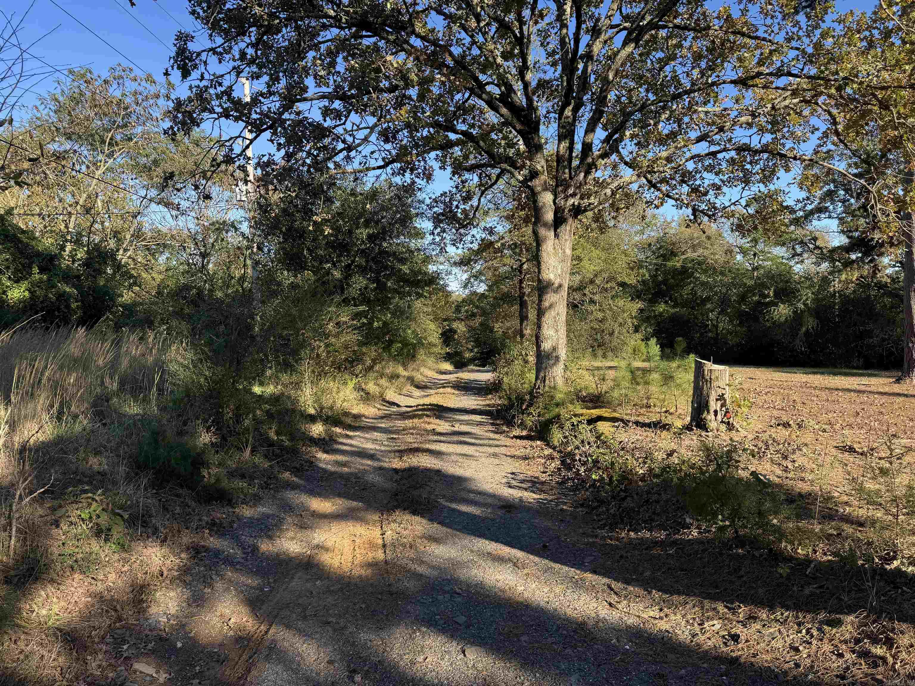 112 Breezy Lane Hatfield, AR 71945