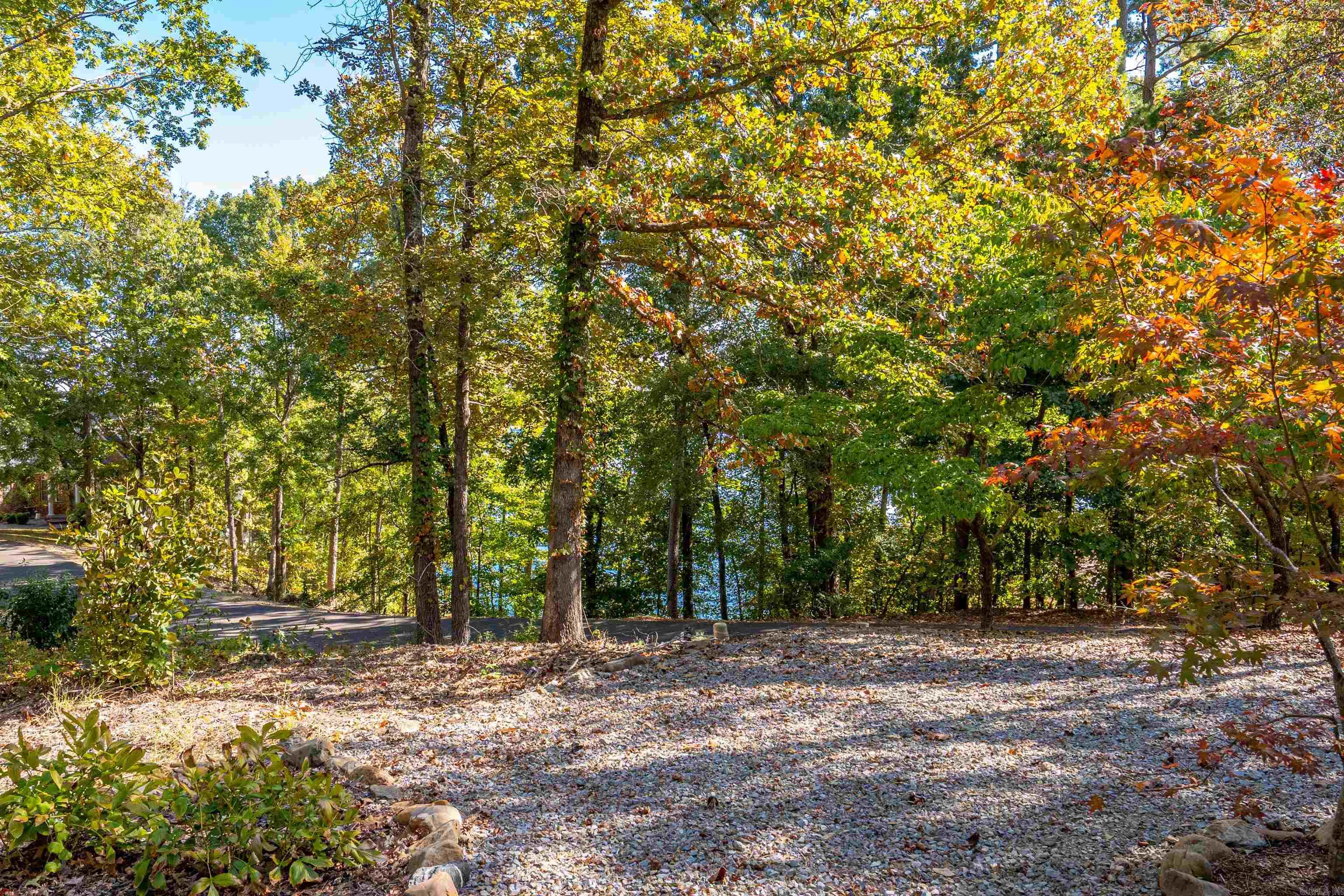 2 Guindola  Hot Springs Village, AR