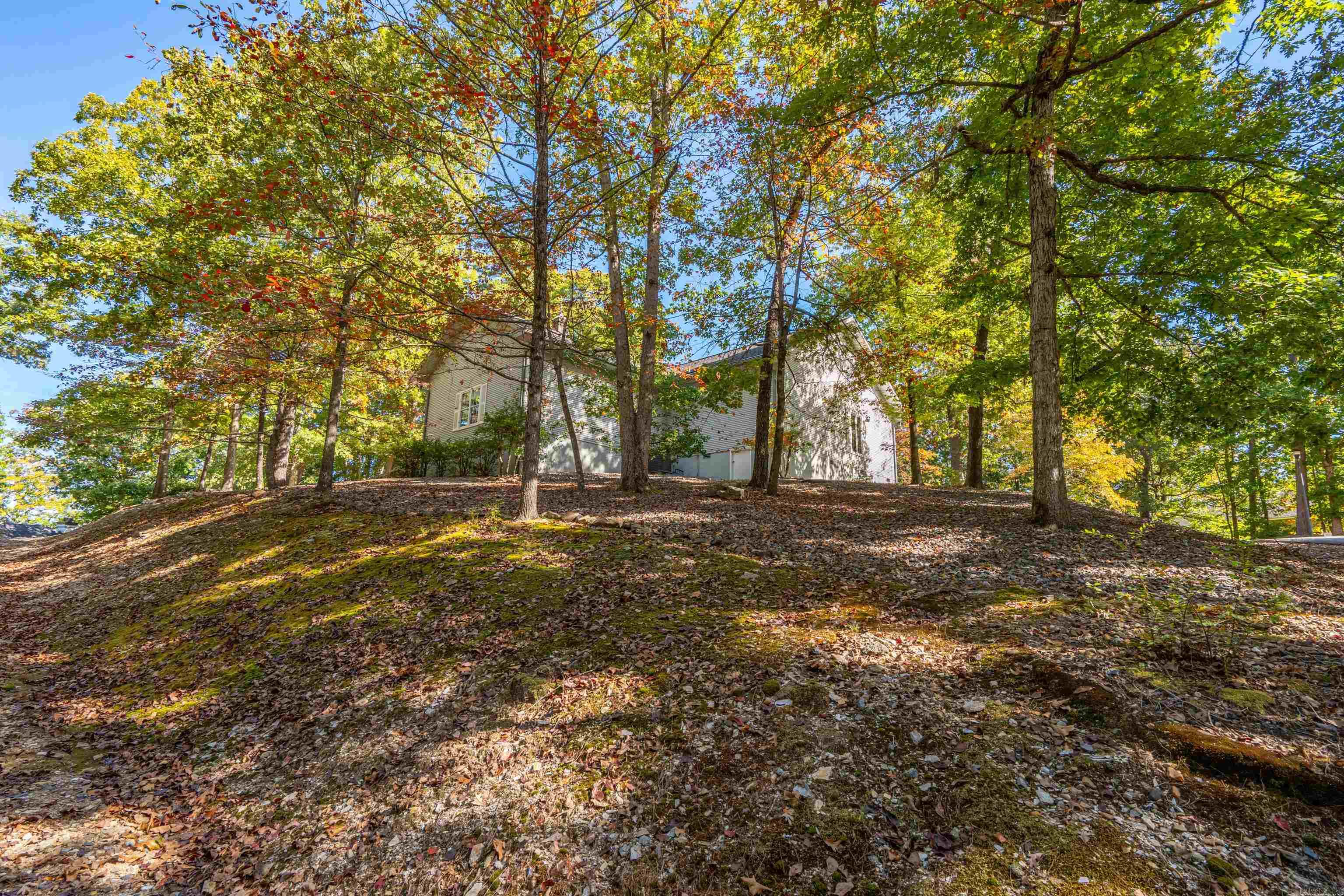 2 Guindola  Hot Springs Village, AR