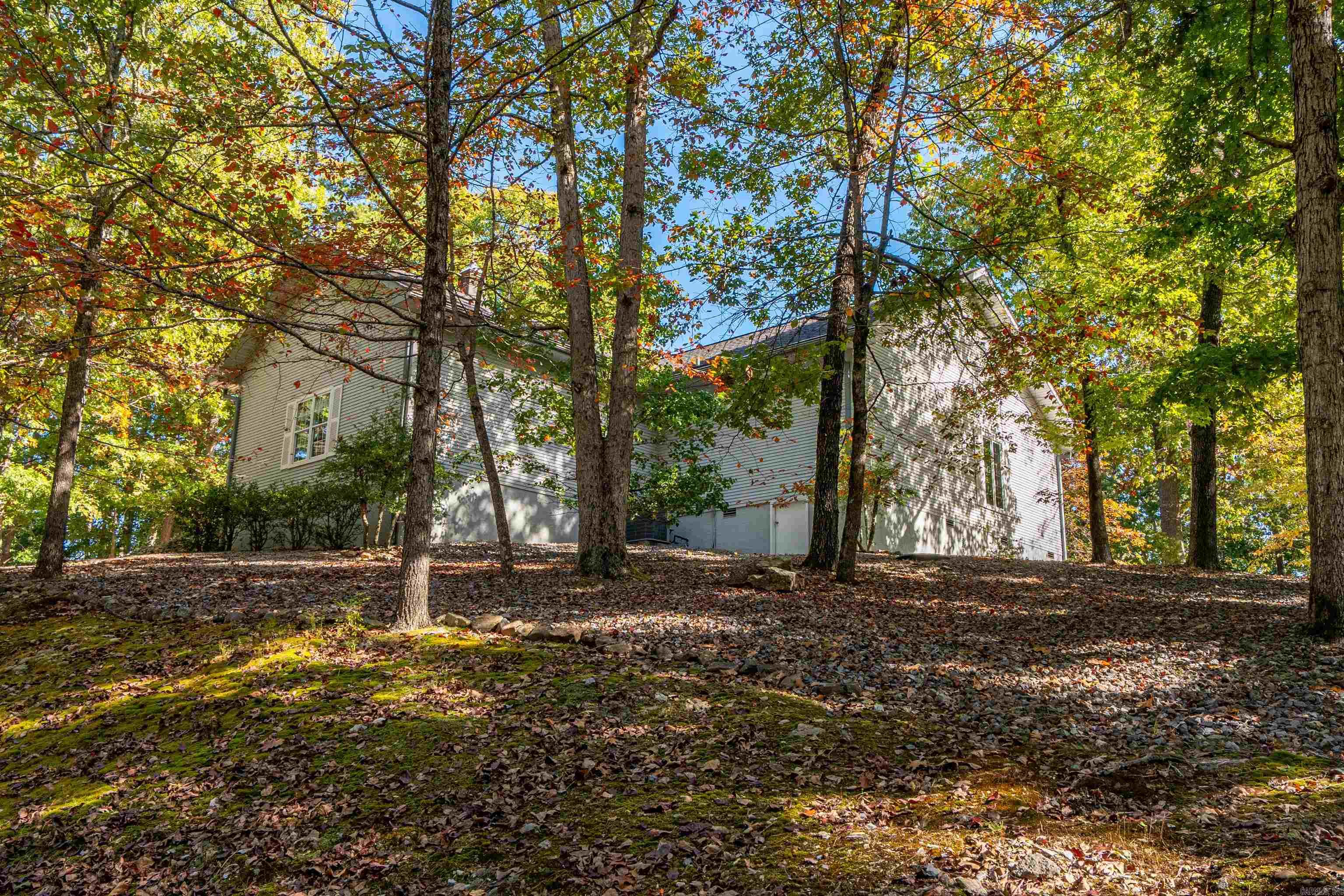 2 Guindola  Hot Springs Village, AR