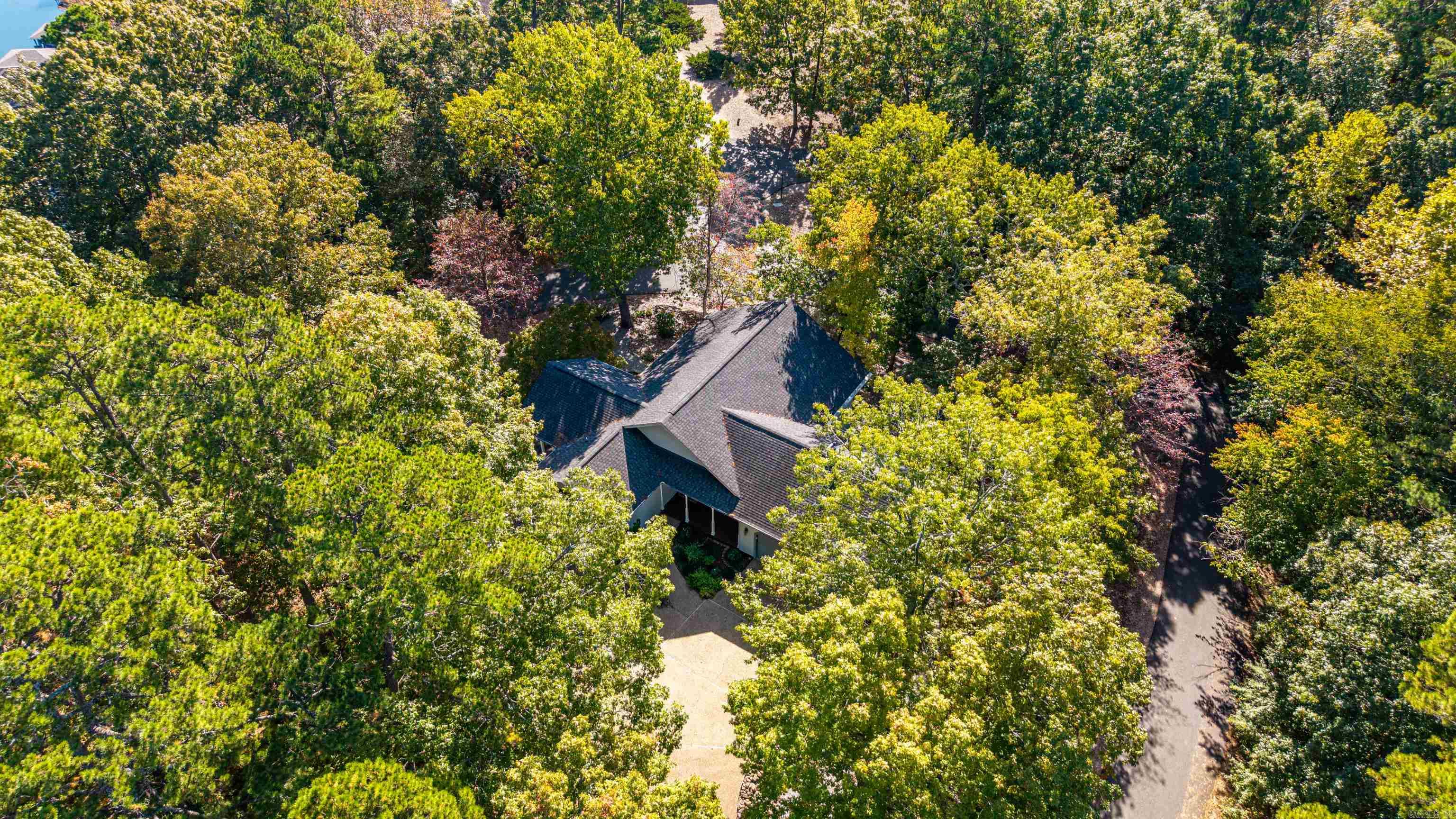 2 Guindola  Hot Springs Village, AR