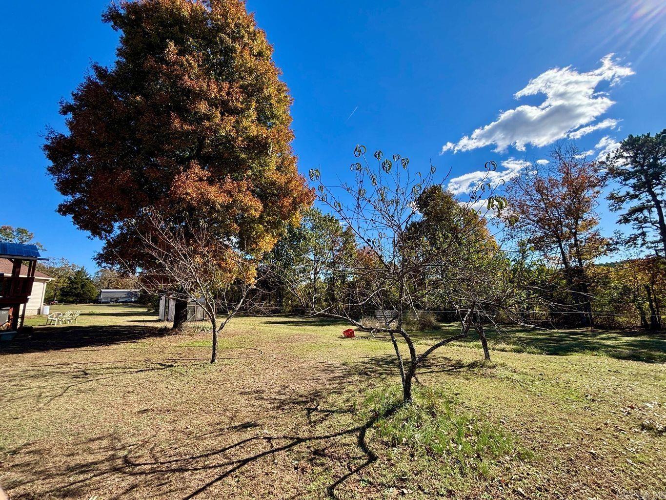 15 White Oak Lane Pleasant Plains, AR 72568