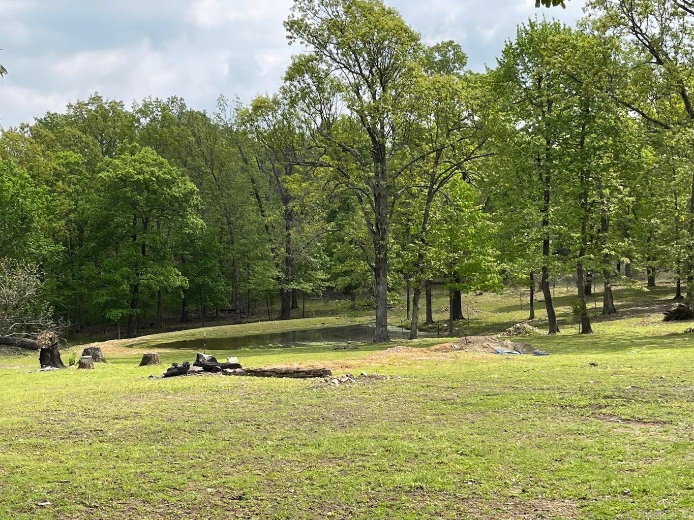 3630 Hwy 167 Ash Flat, AR 72513