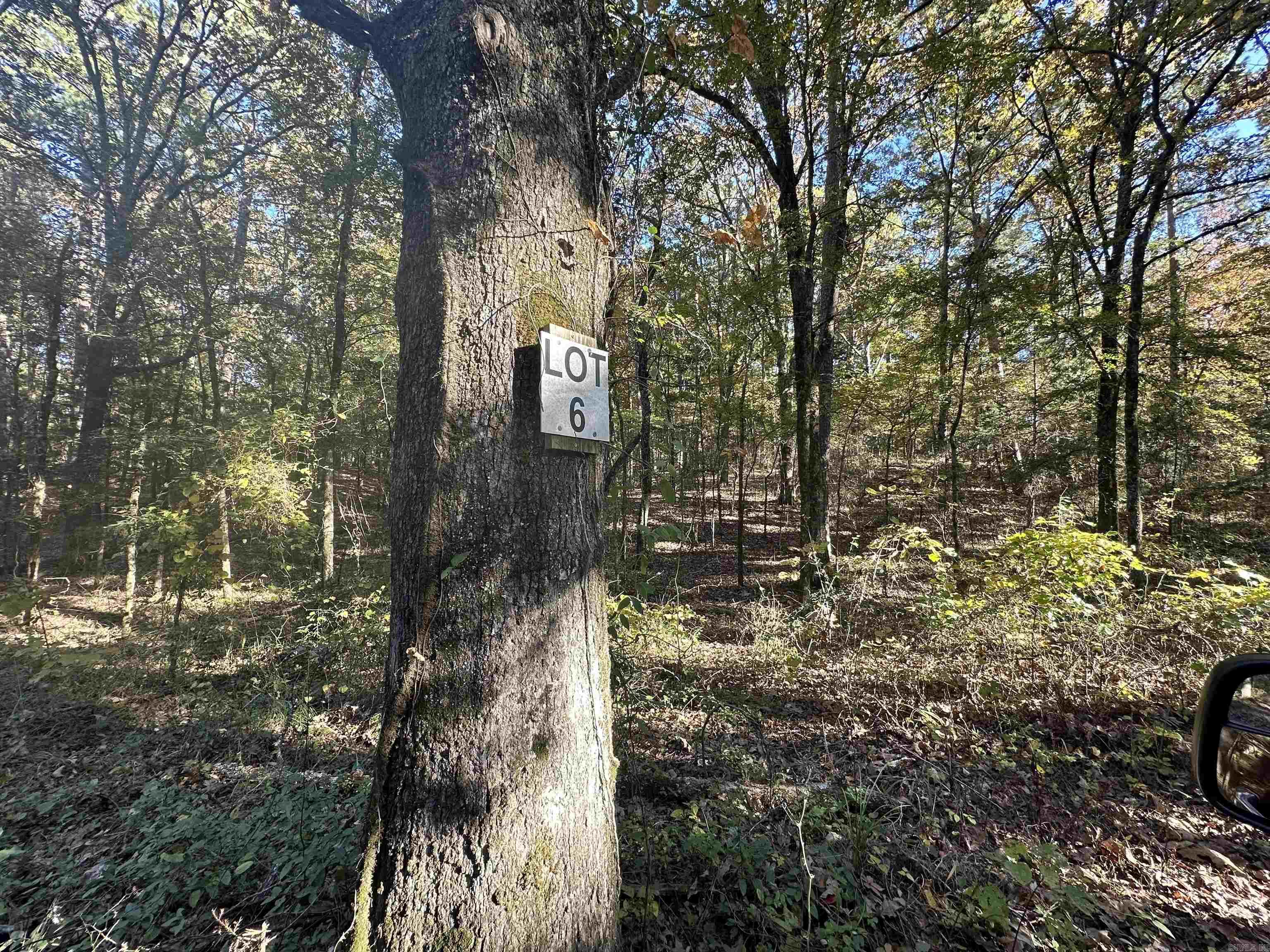 226 Cathedral Pines Ln  Mena, AR