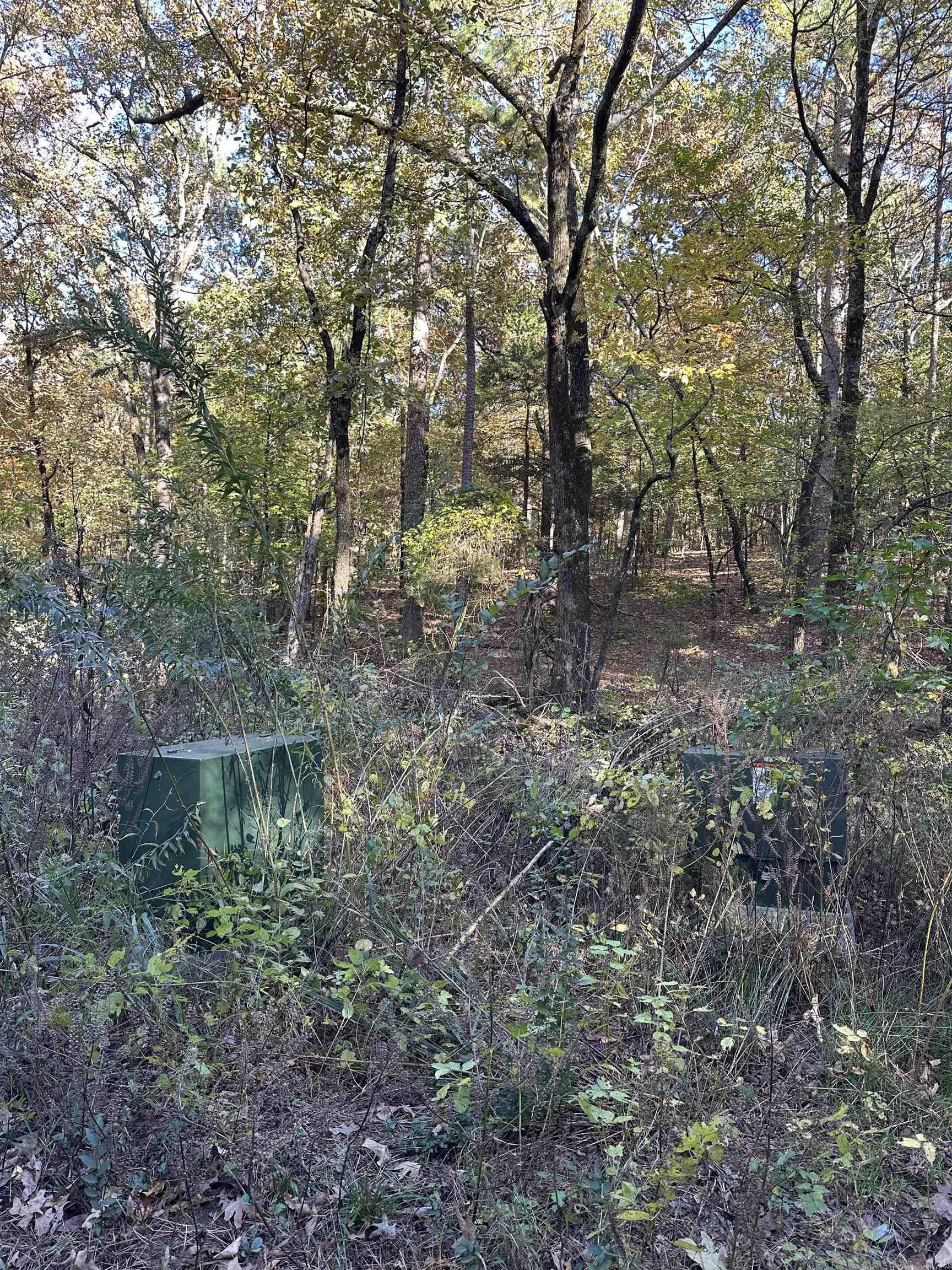 226 Cathedral Pines Ln  Mena, AR