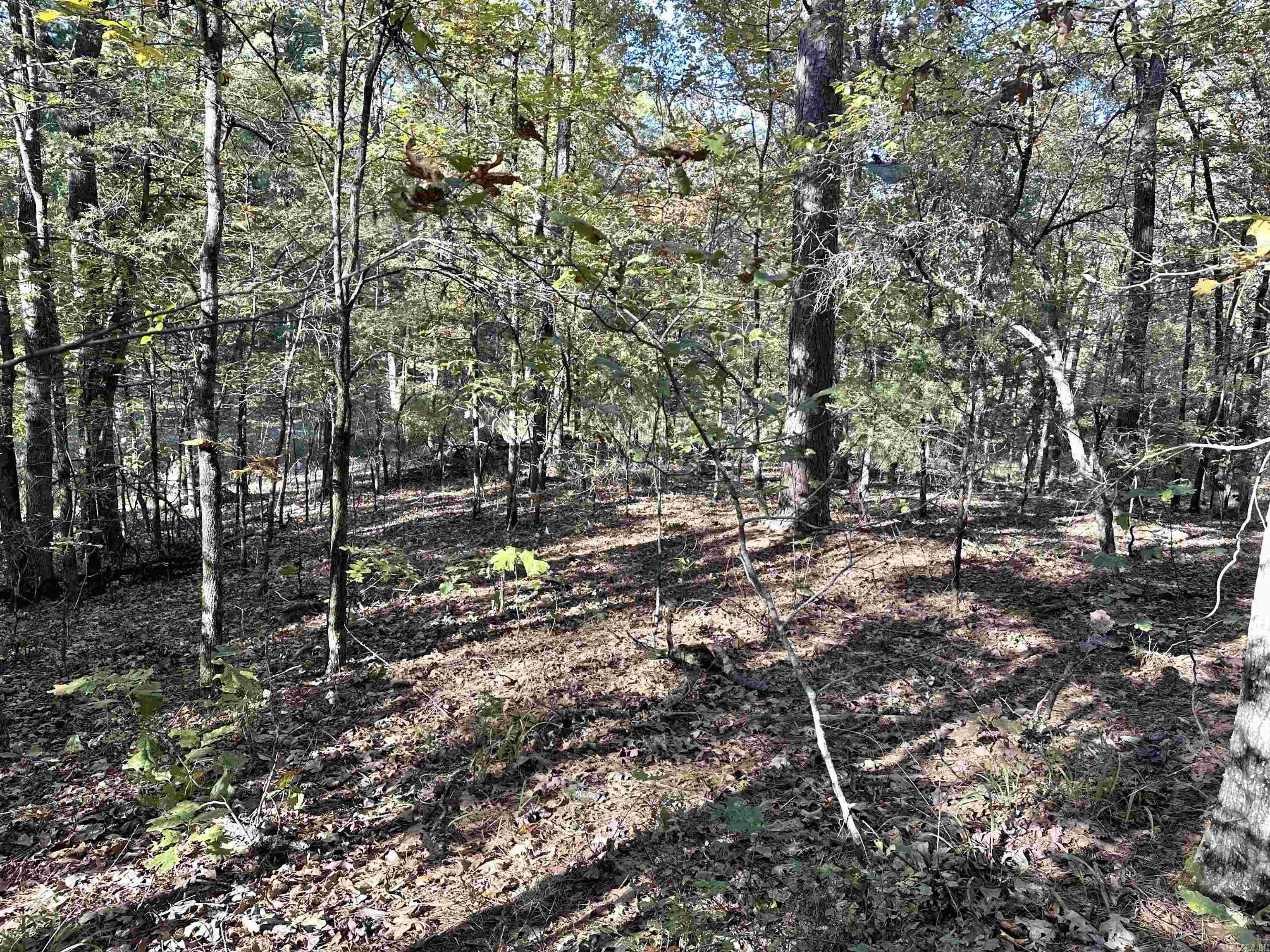 226 Cathedral Pines Ln  Mena, AR